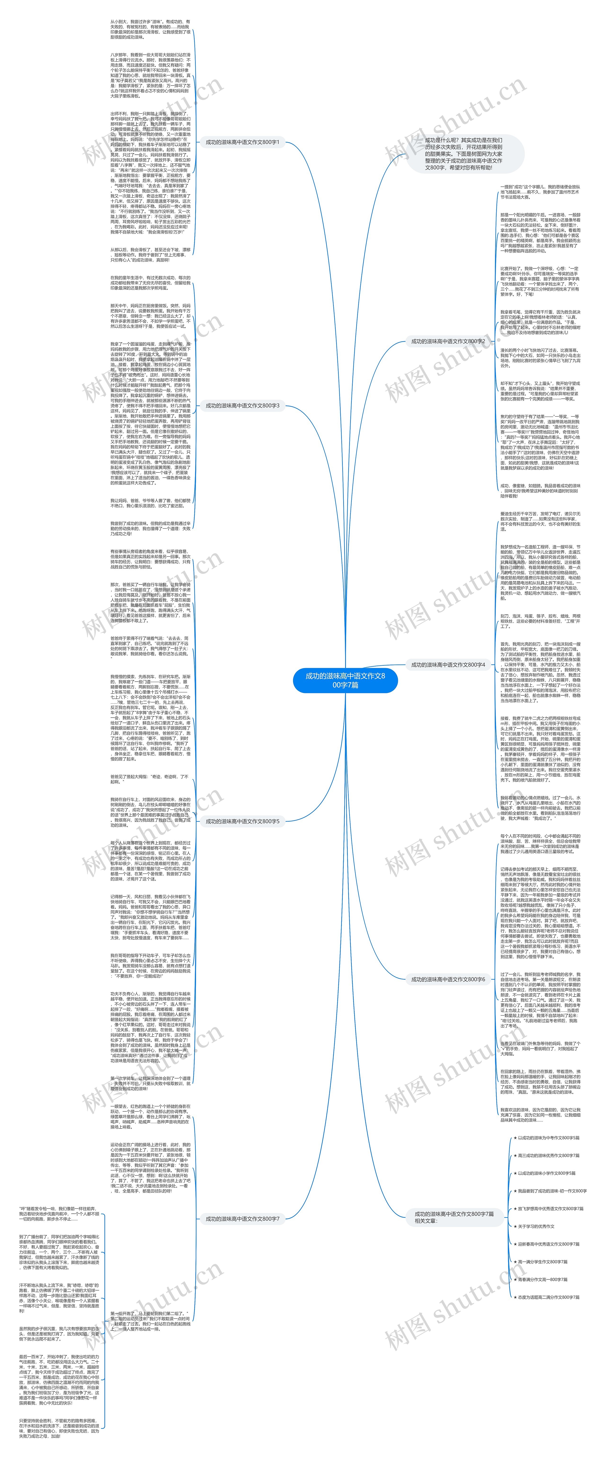 成功的滋味高中语文作文800字7篇思维导图