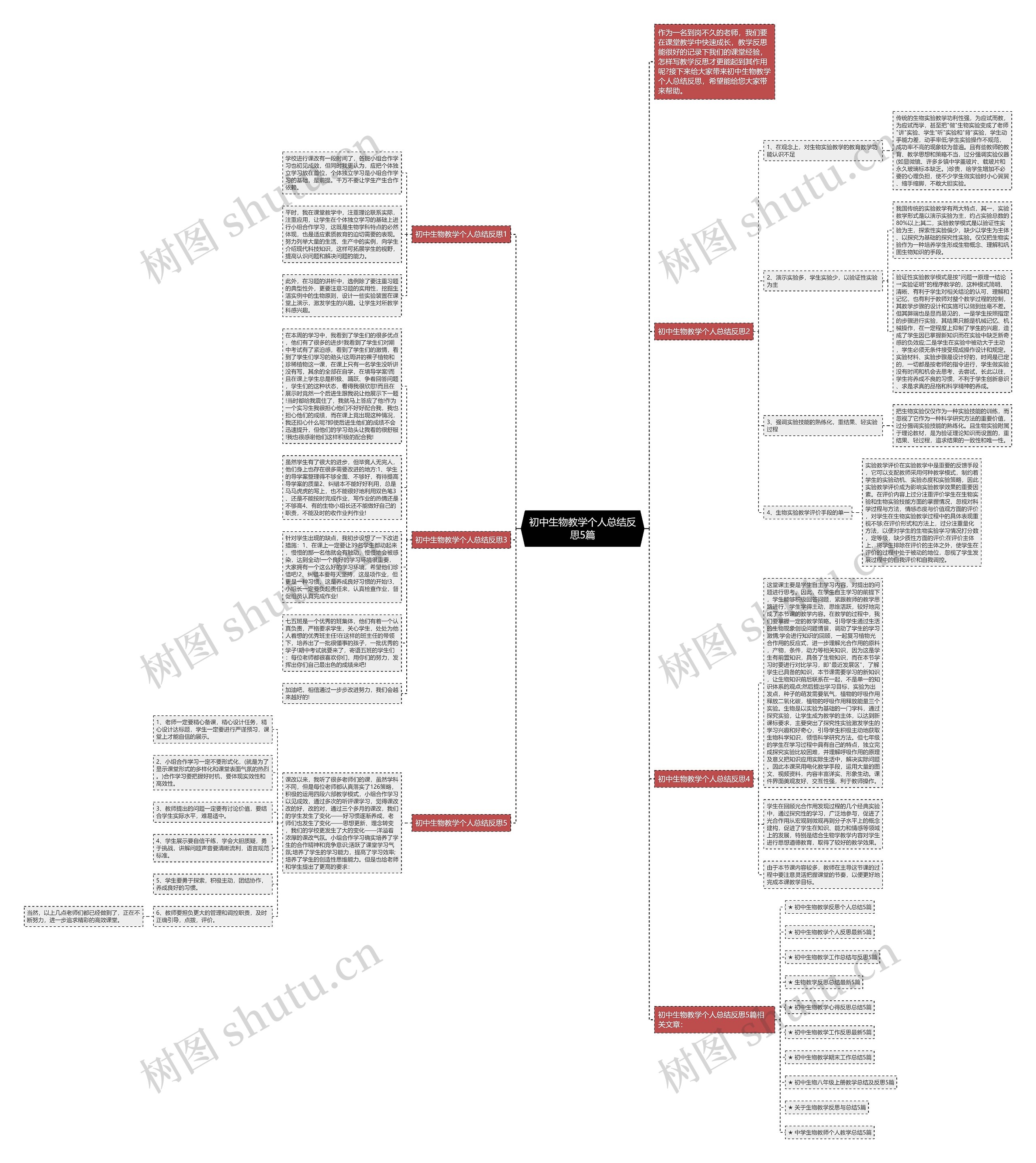 初中生物教学个人总结反思5篇思维导图