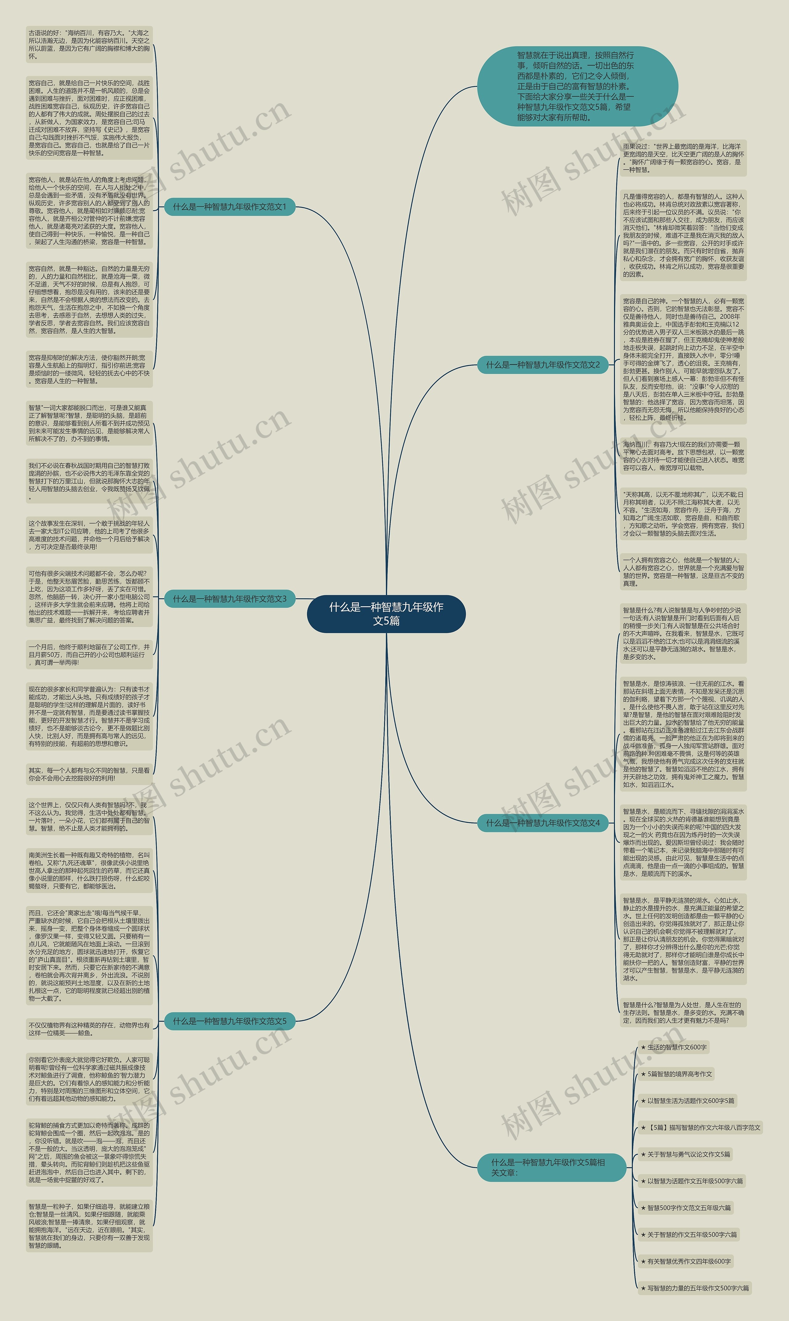 什么是一种智慧九年级作文5篇思维导图
