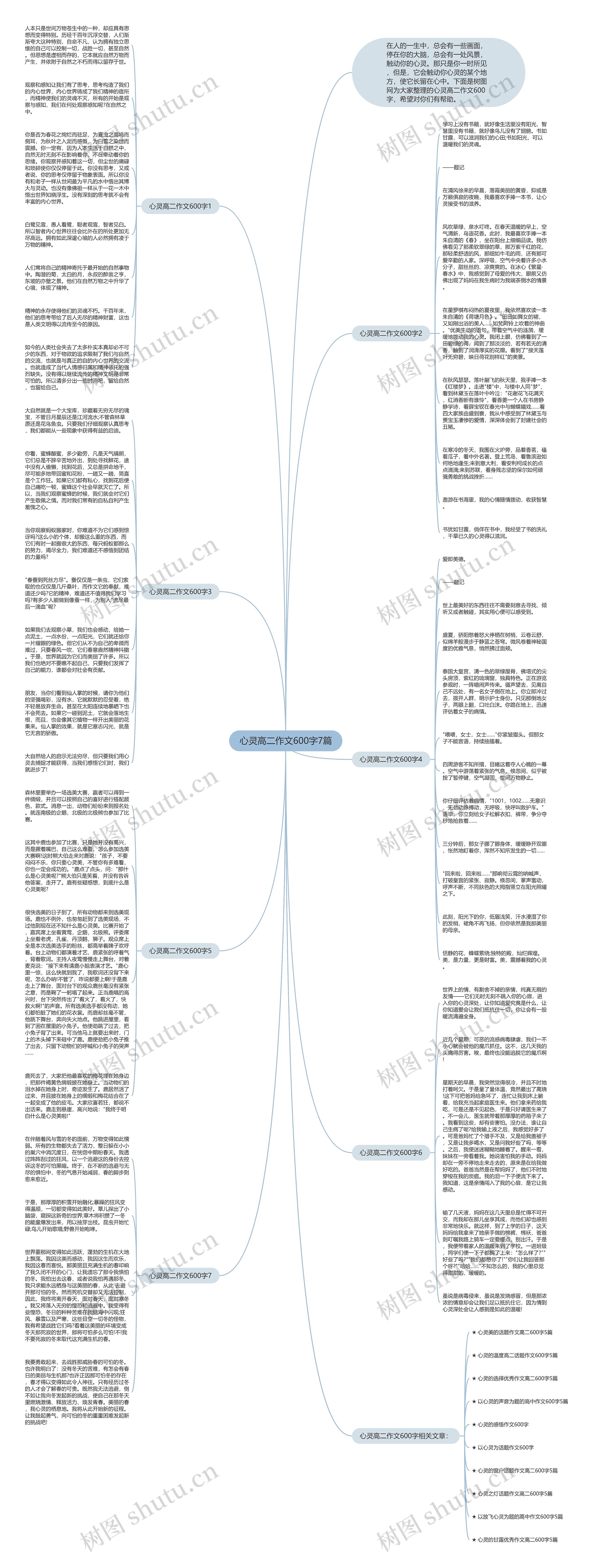 心灵高二作文600字7篇思维导图