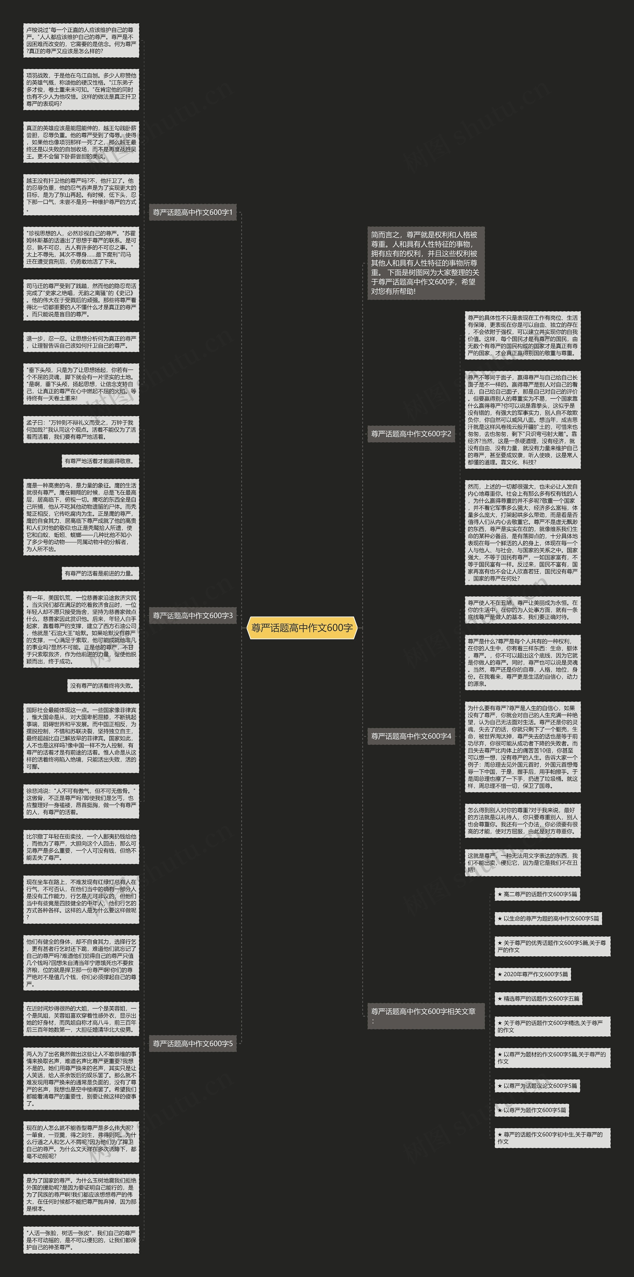尊严话题高中作文600字思维导图