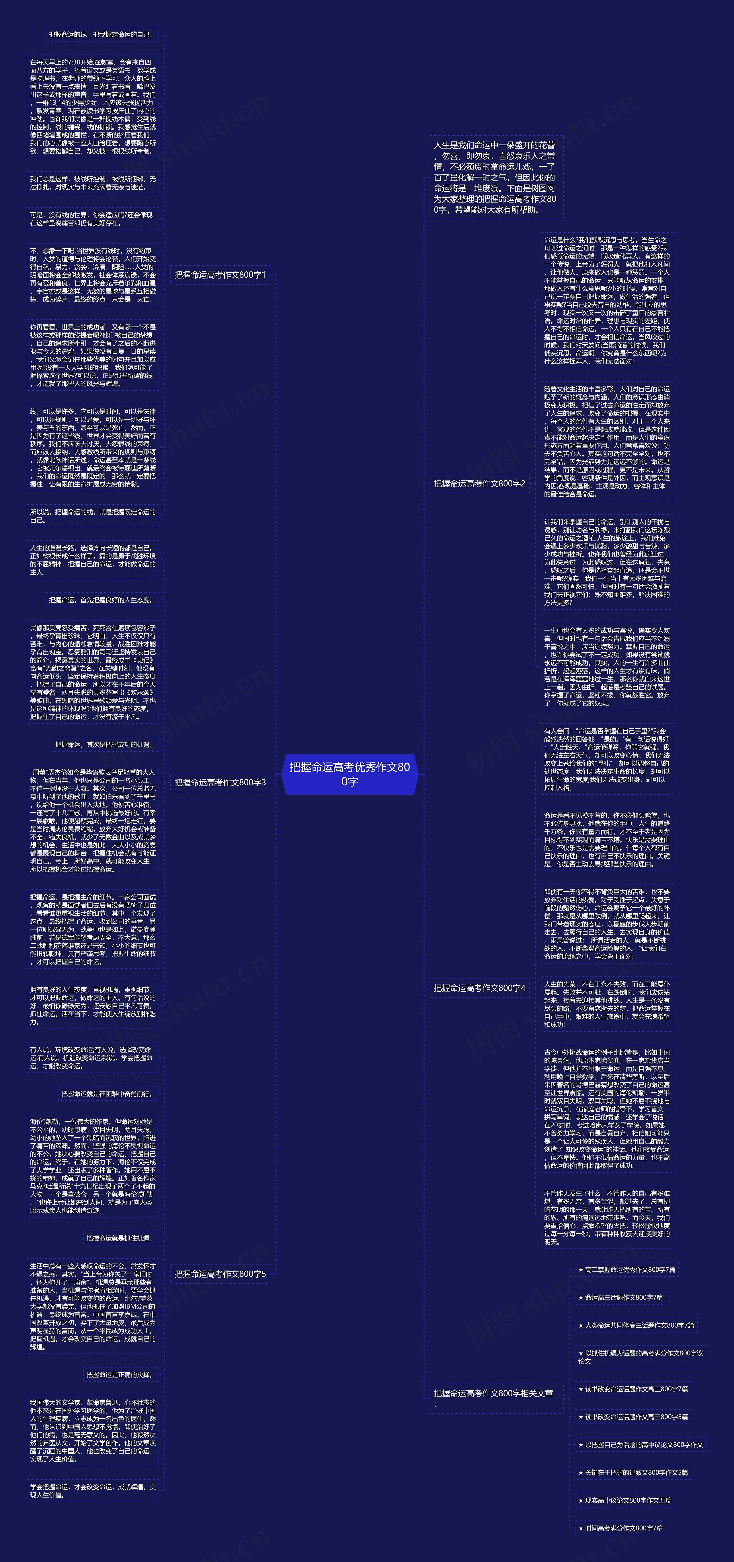 把握命运高考优秀作文800字