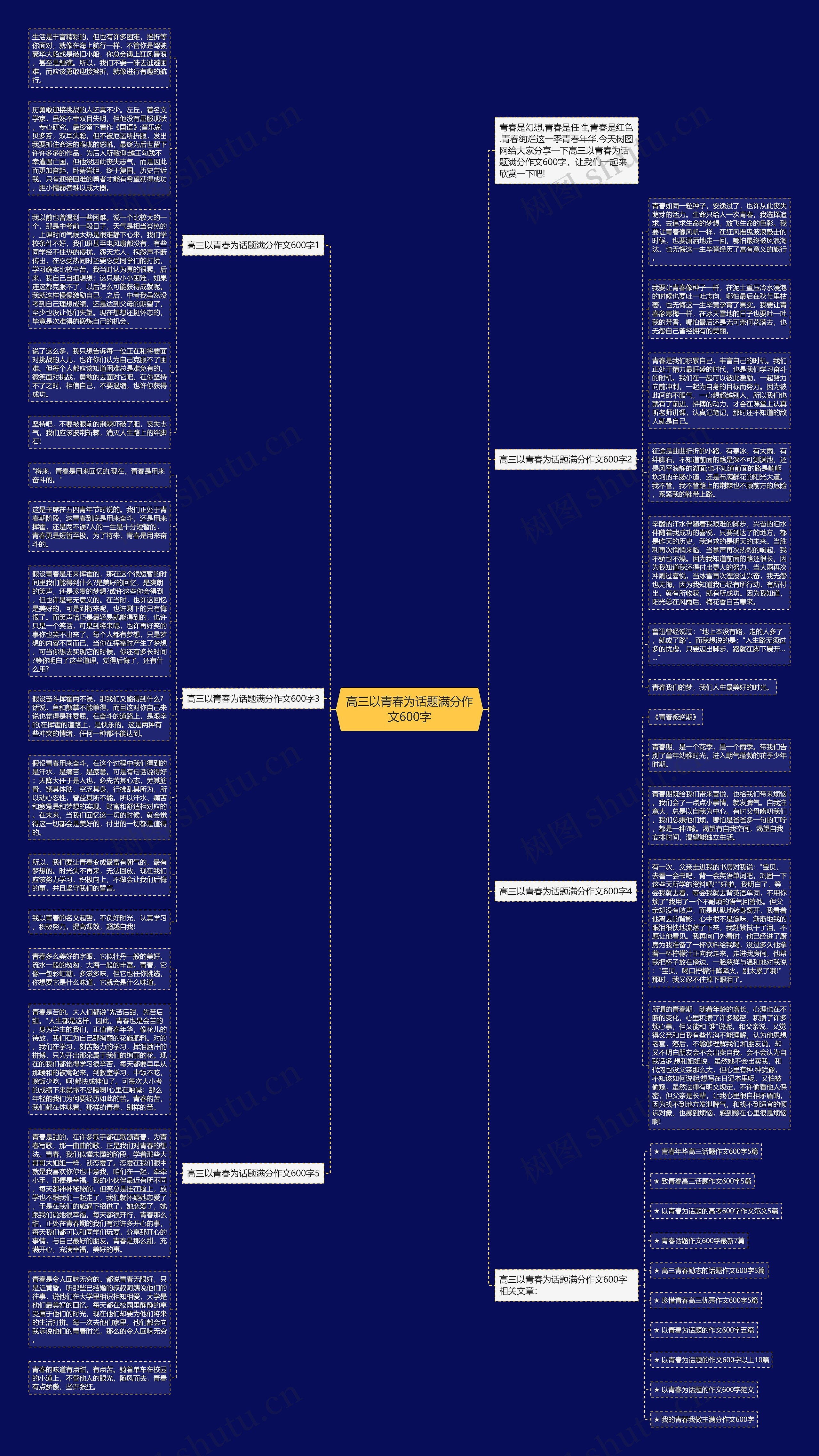 高三以青春为话题满分作文600字思维导图