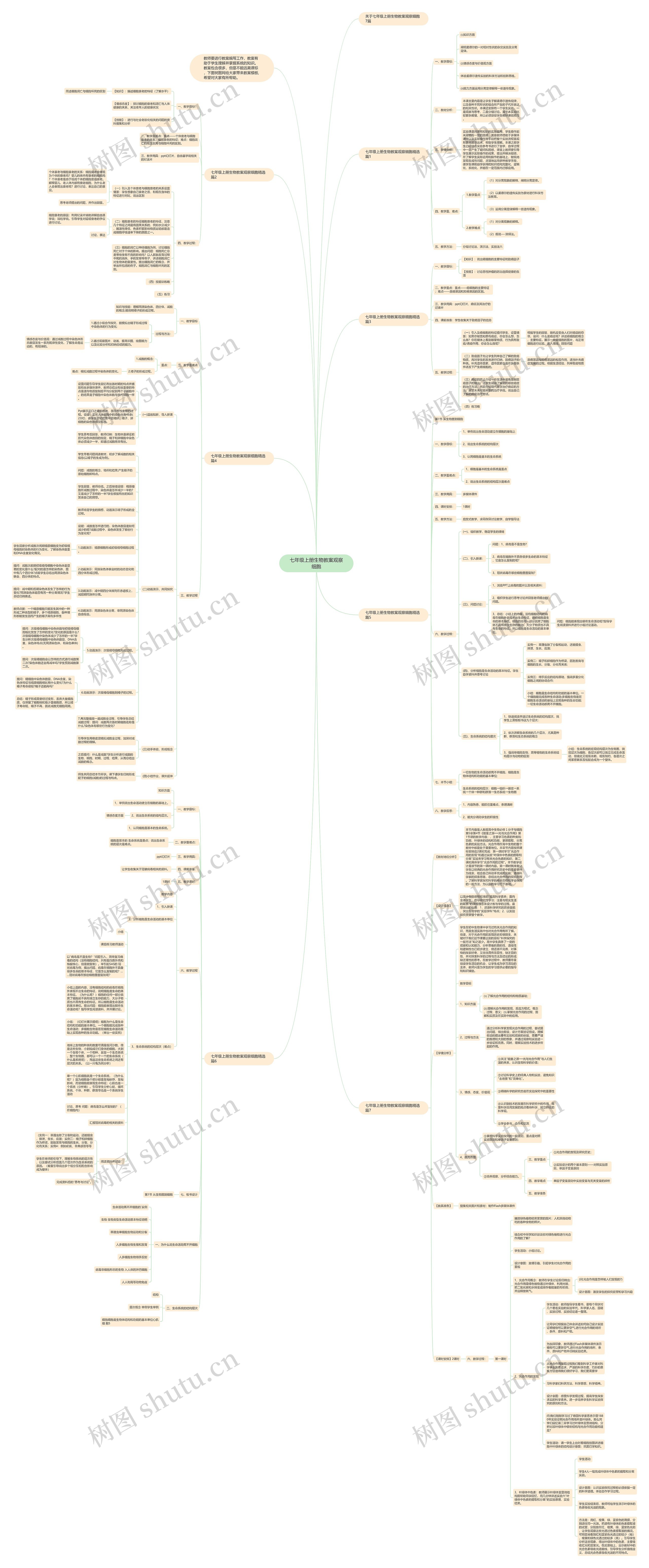 七年级上册生物教案观察细胞思维导图