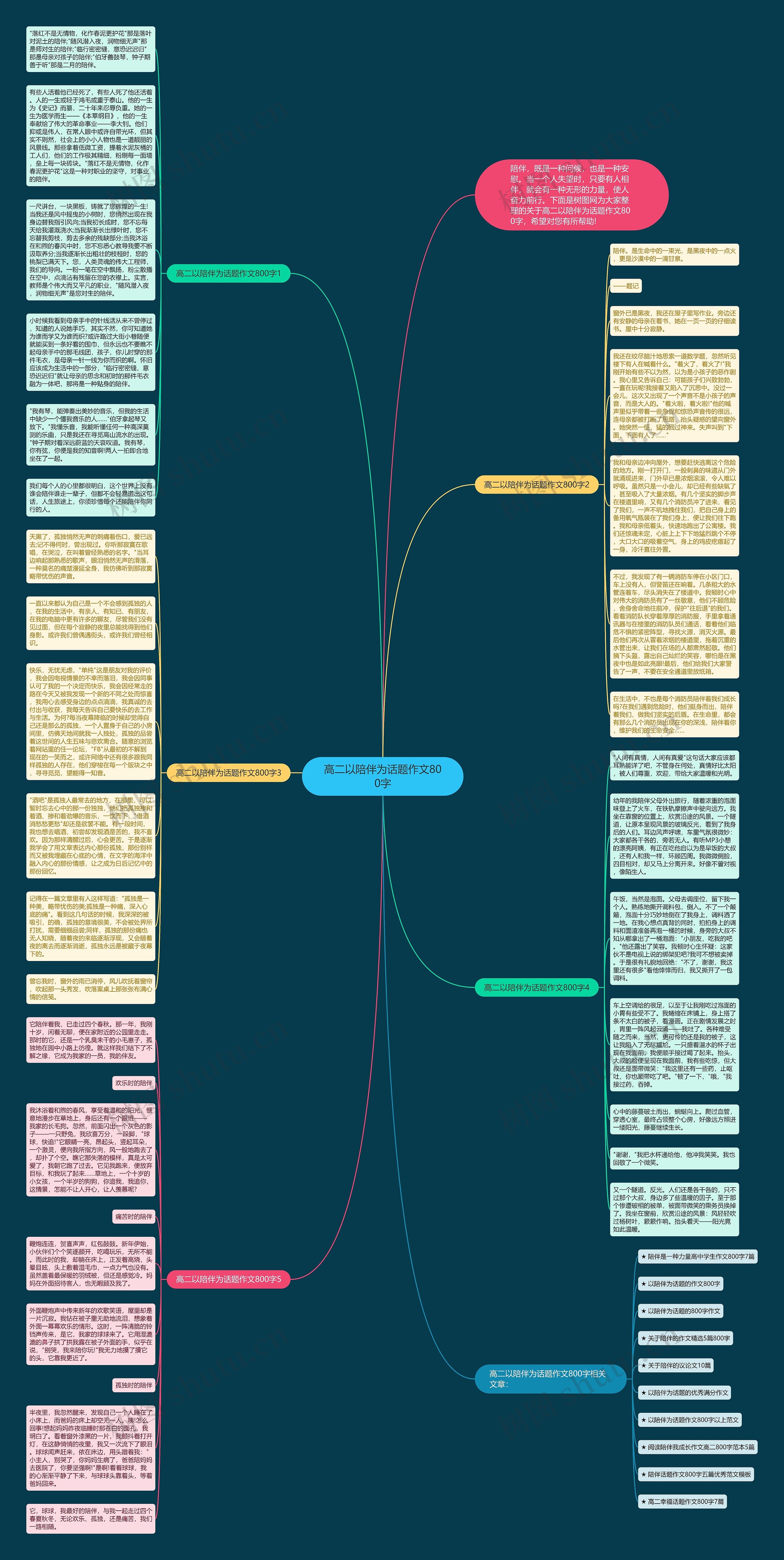 高二以陪伴为话题作文800字思维导图
