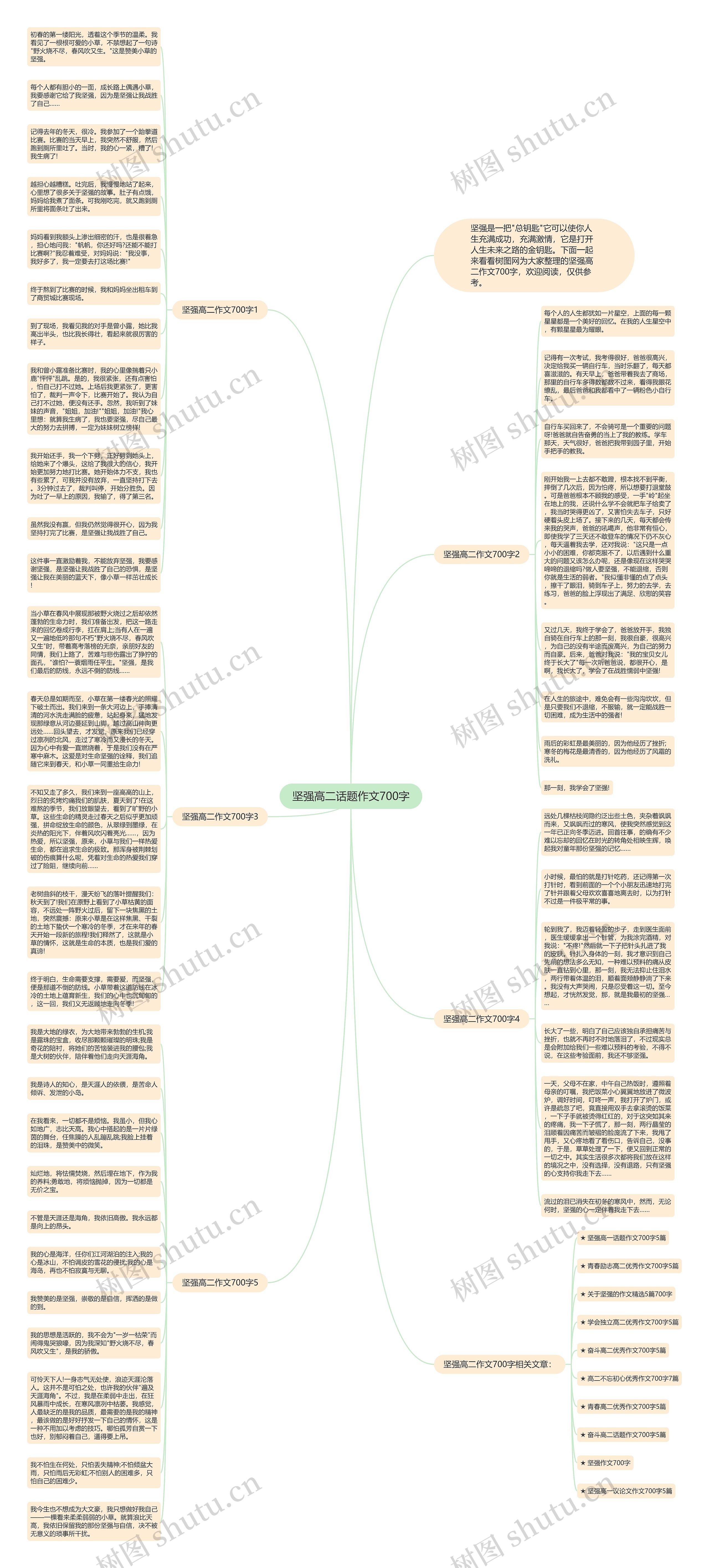 坚强高二话题作文700字思维导图