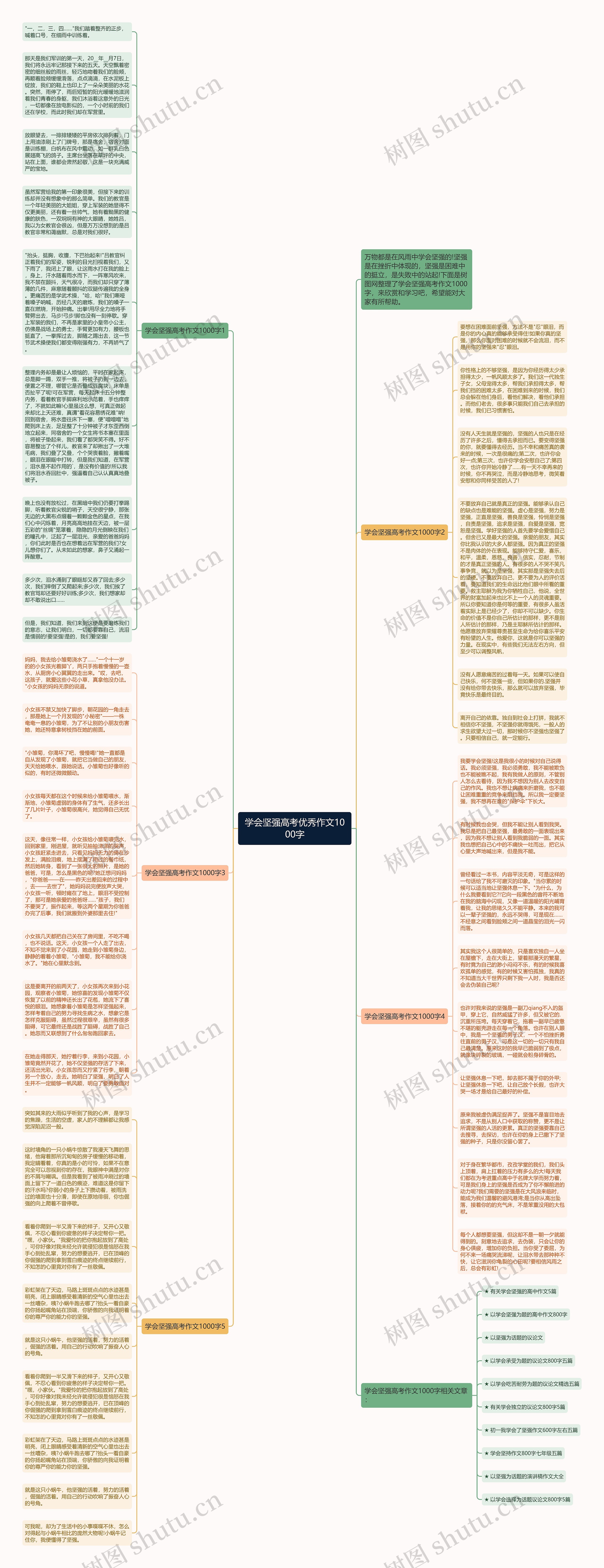 学会坚强高考优秀作文1000字思维导图