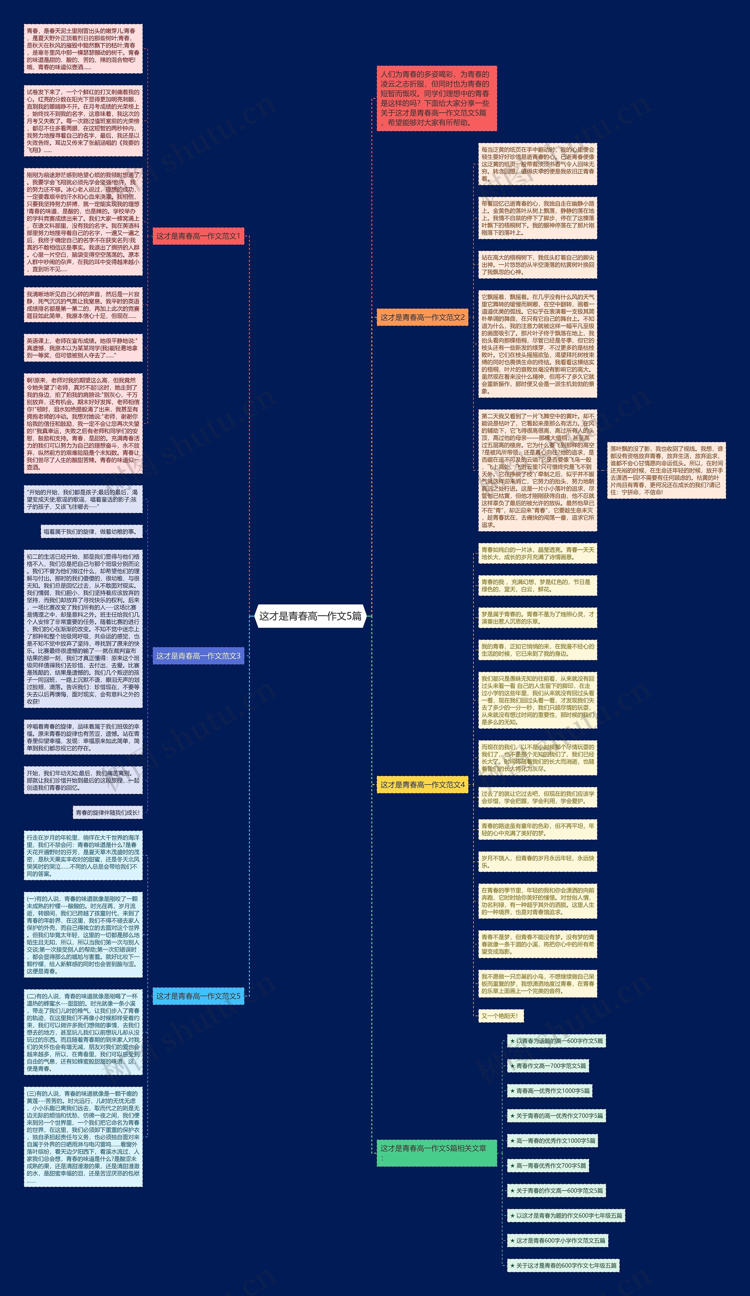 这才是青春高一作文5篇思维导图