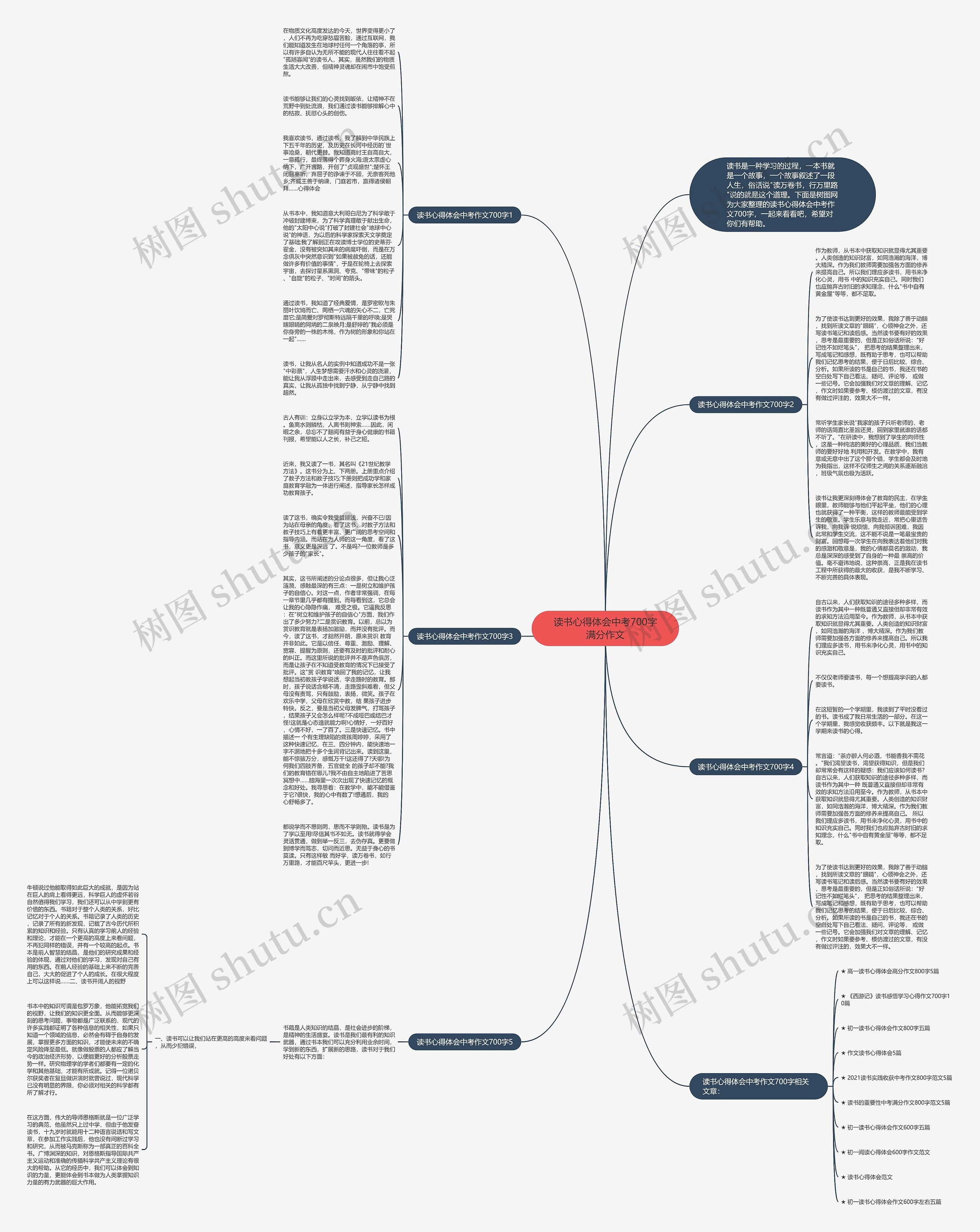 读书心得体会中考700字满分作文思维导图