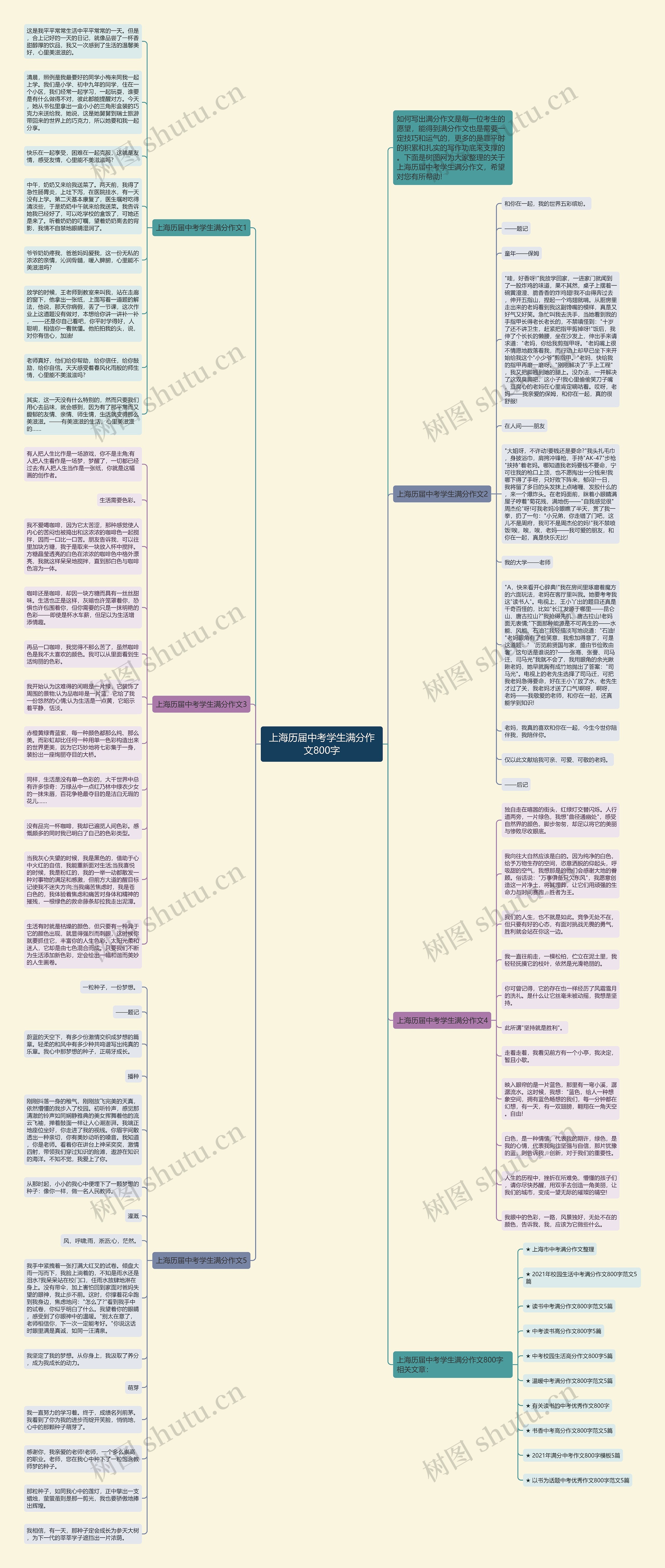 上海历届中考学生满分作文800字思维导图