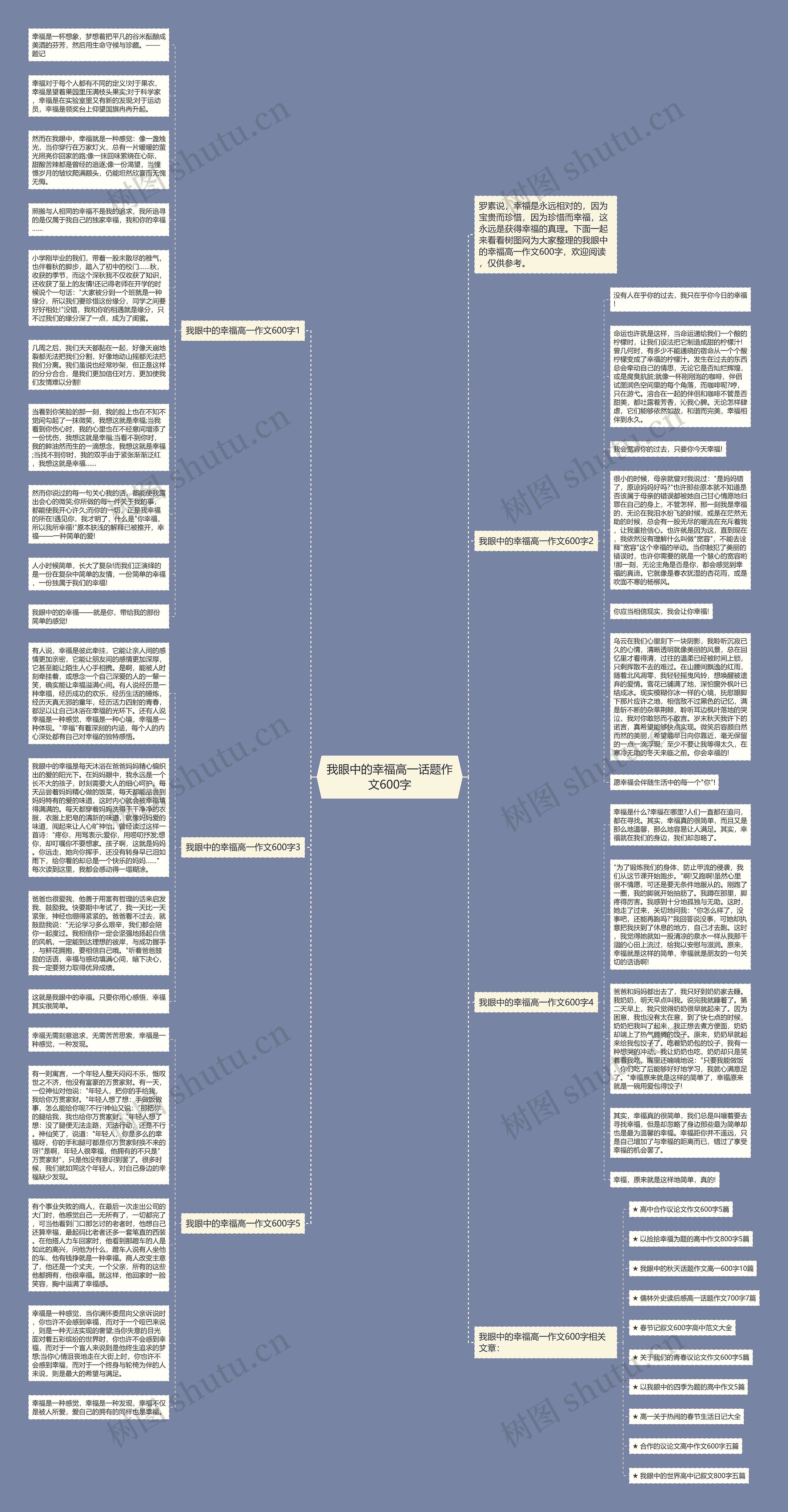 我眼中的幸福高一话题作文600字思维导图