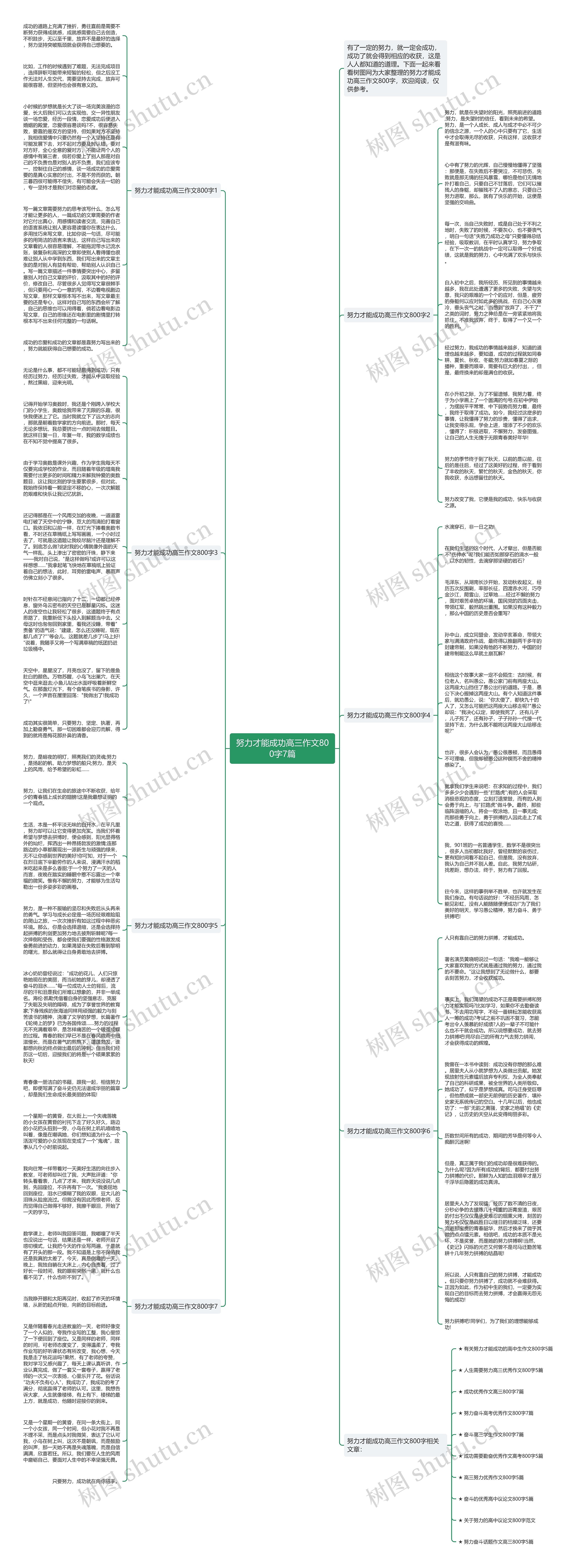努力才能成功高三作文800字7篇思维导图