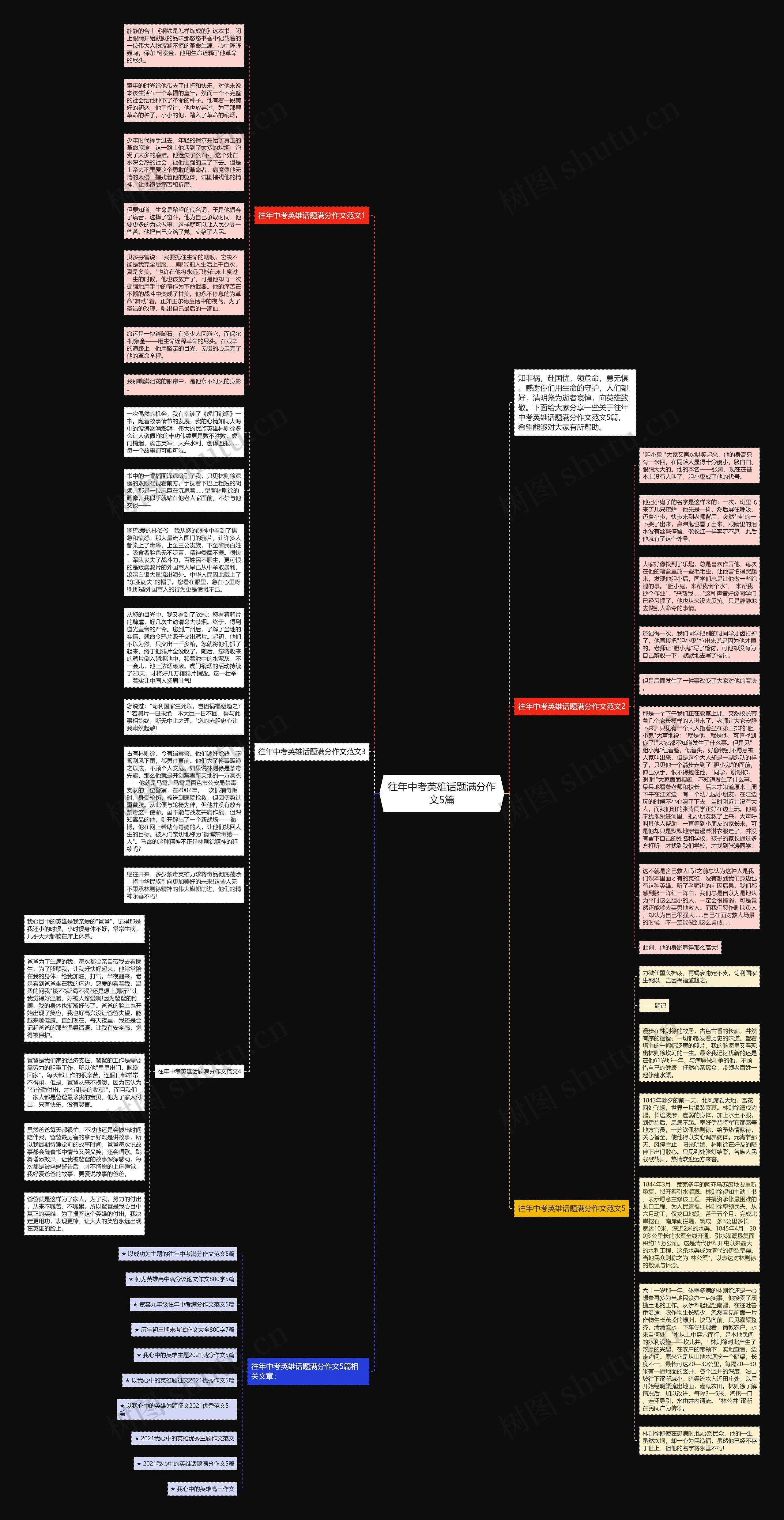 往年中考英雄话题满分作文5篇思维导图