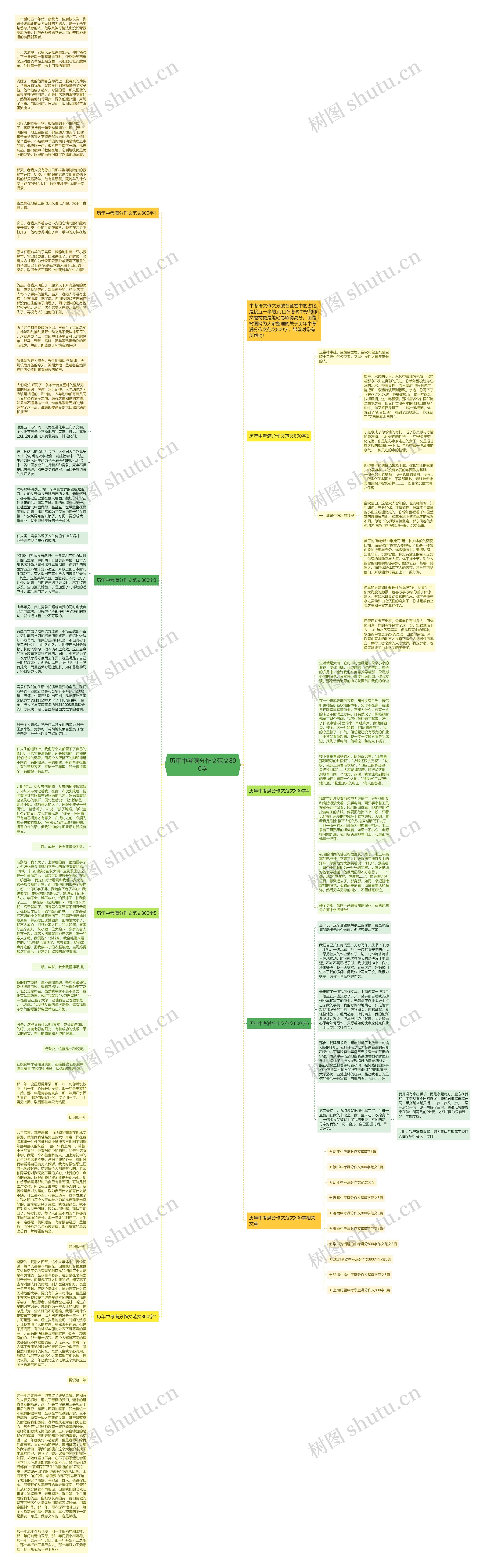 历年中考满分作文范文800字思维导图