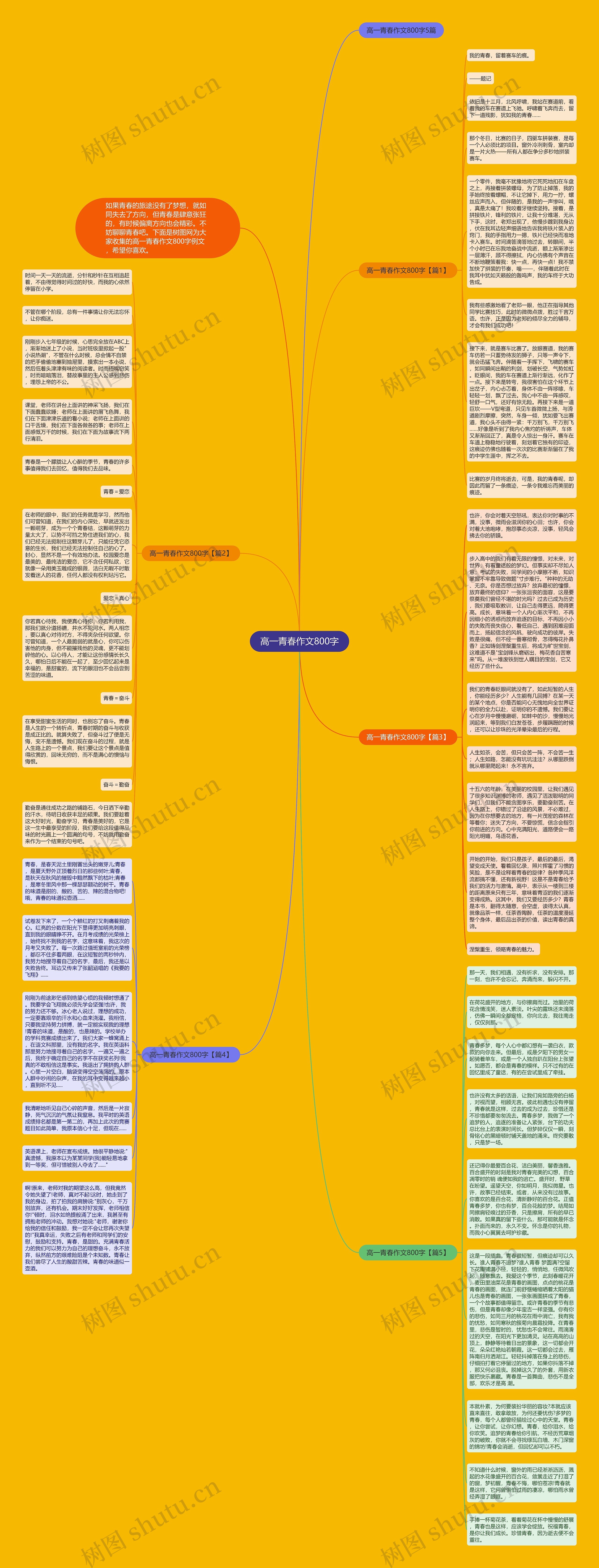 高一青春作文800字思维导图高清图 高一青春作文800字思维导图