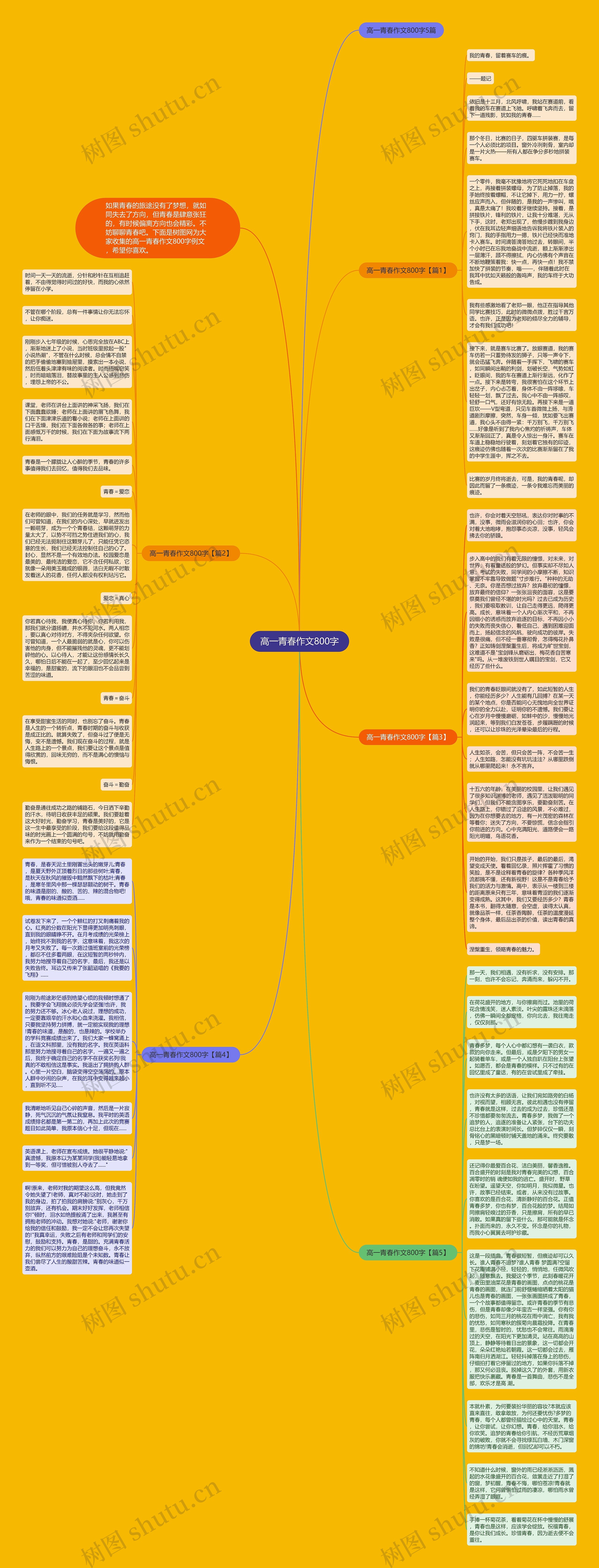 高一青春作文800字思维导图