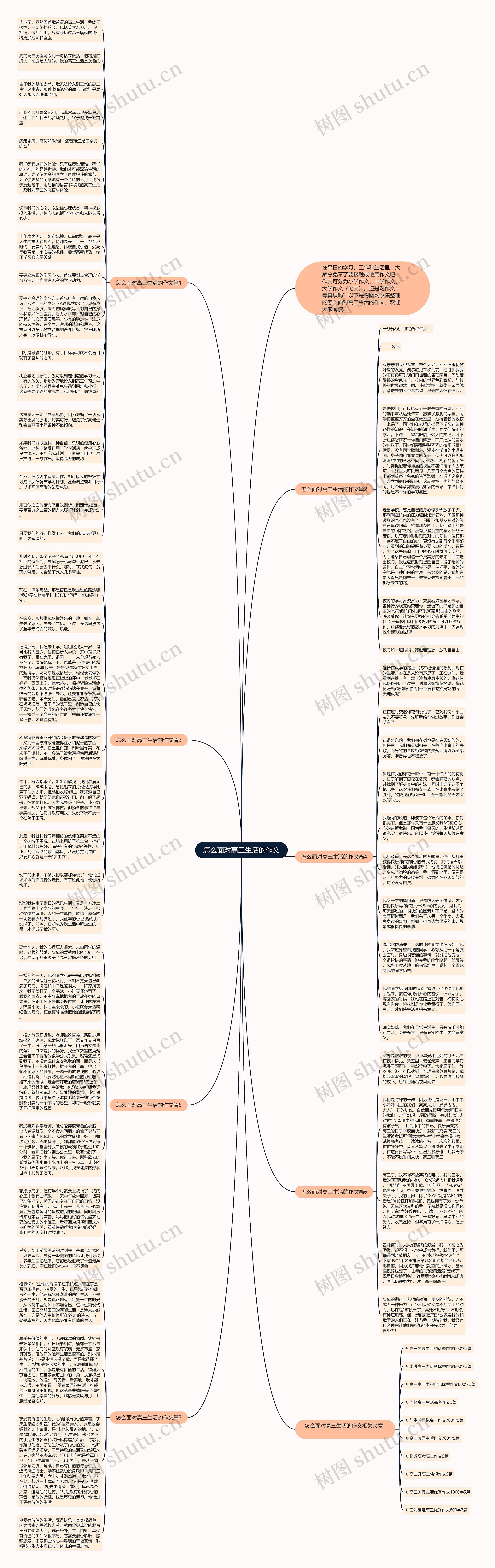 怎么面对高三生活的作文思维导图