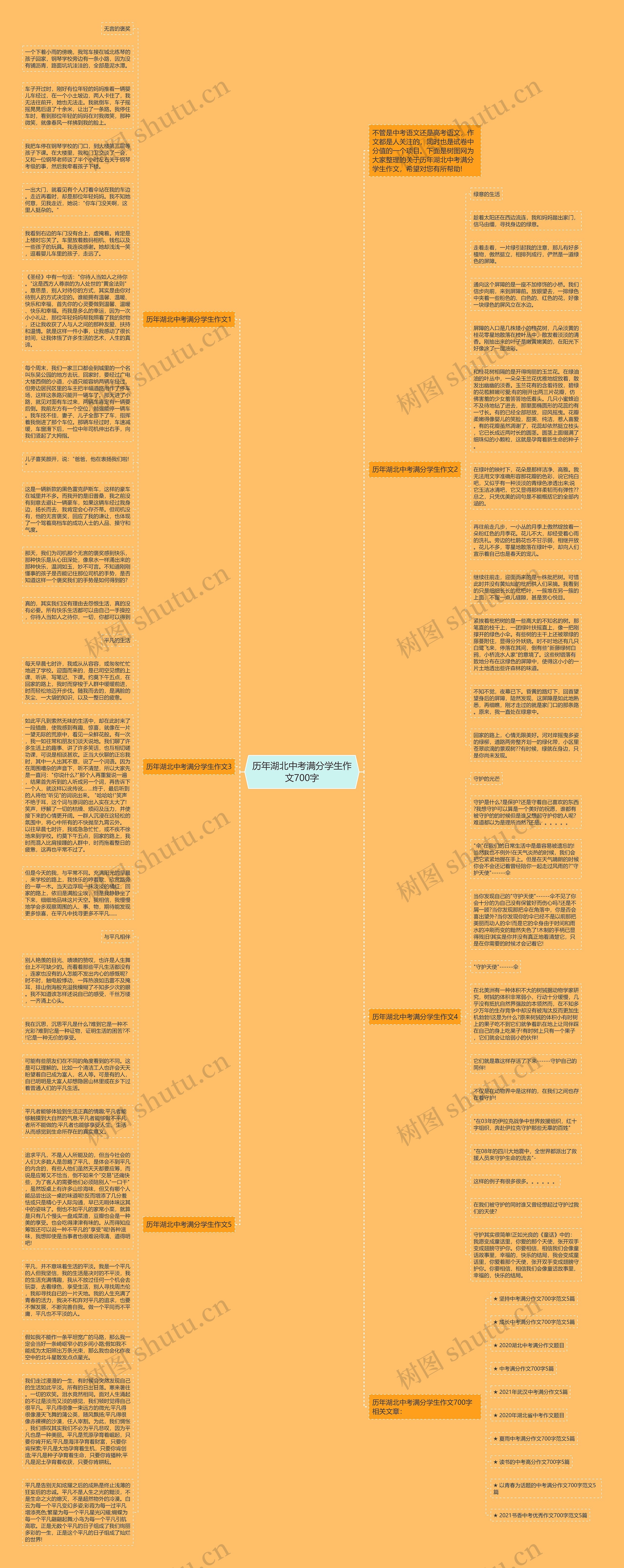 历年湖北中考满分学生作文700字思维导图