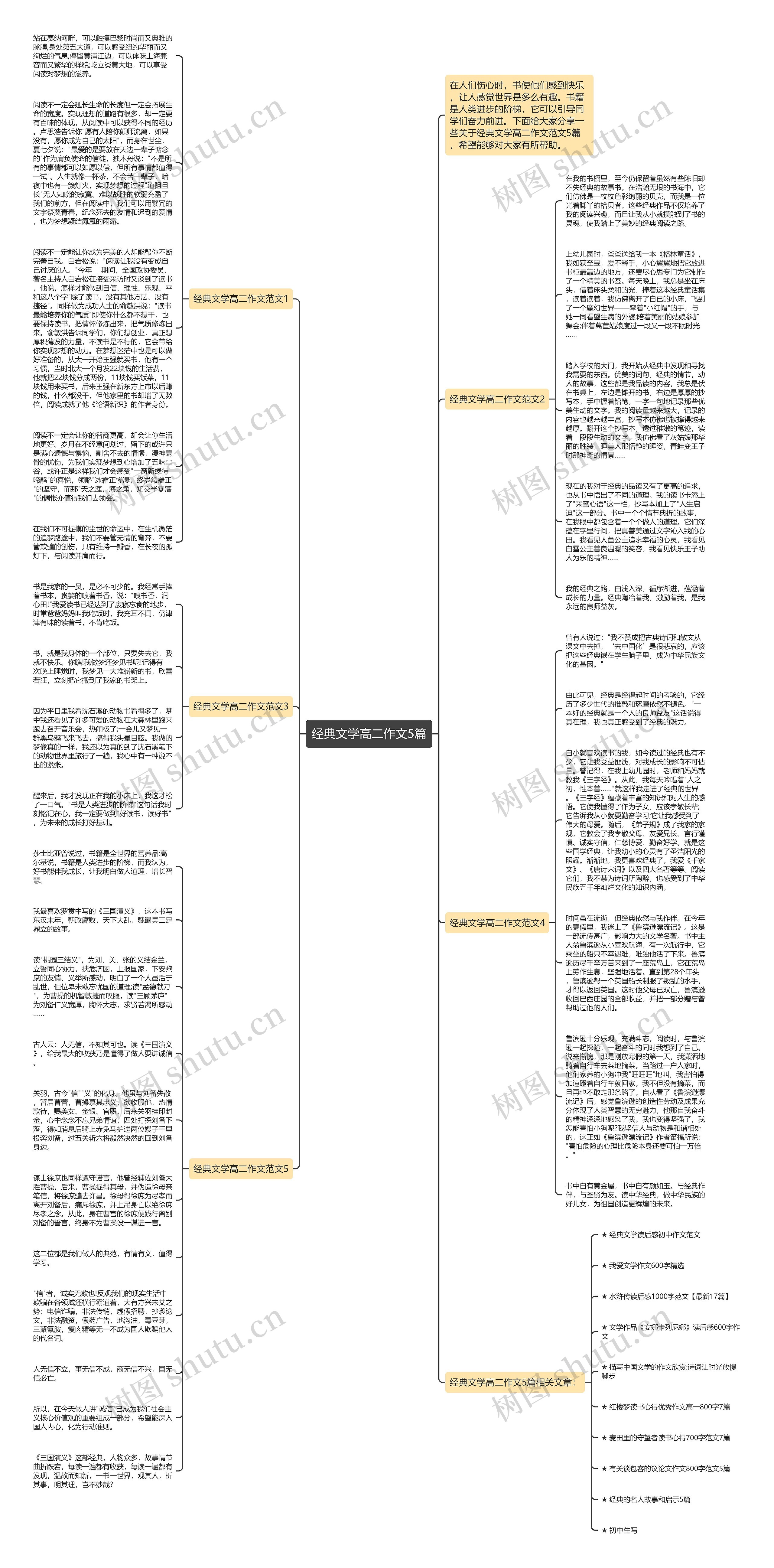 经典文学高二作文5篇思维导图