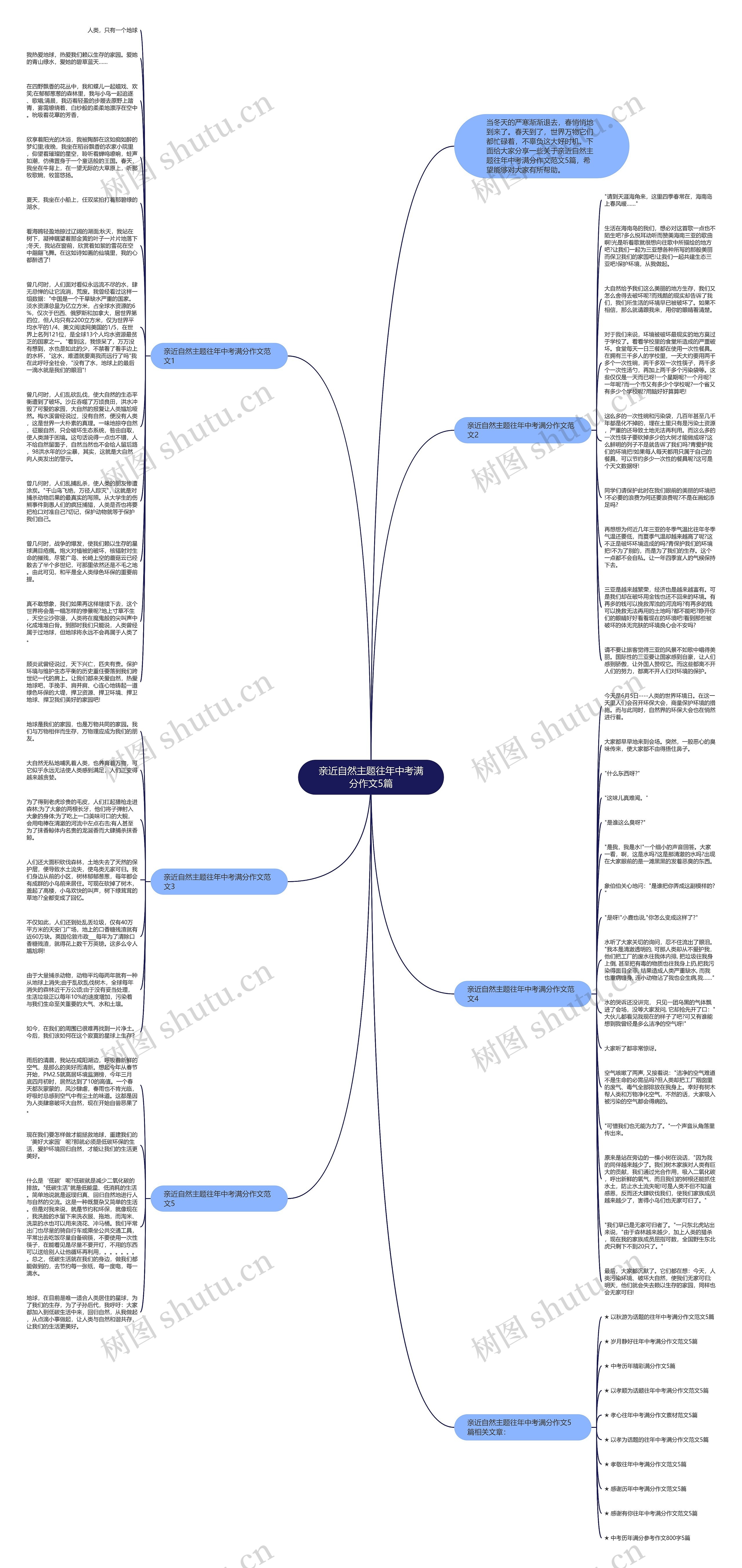 亲近自然主题往年中考满分作文5篇思维导图