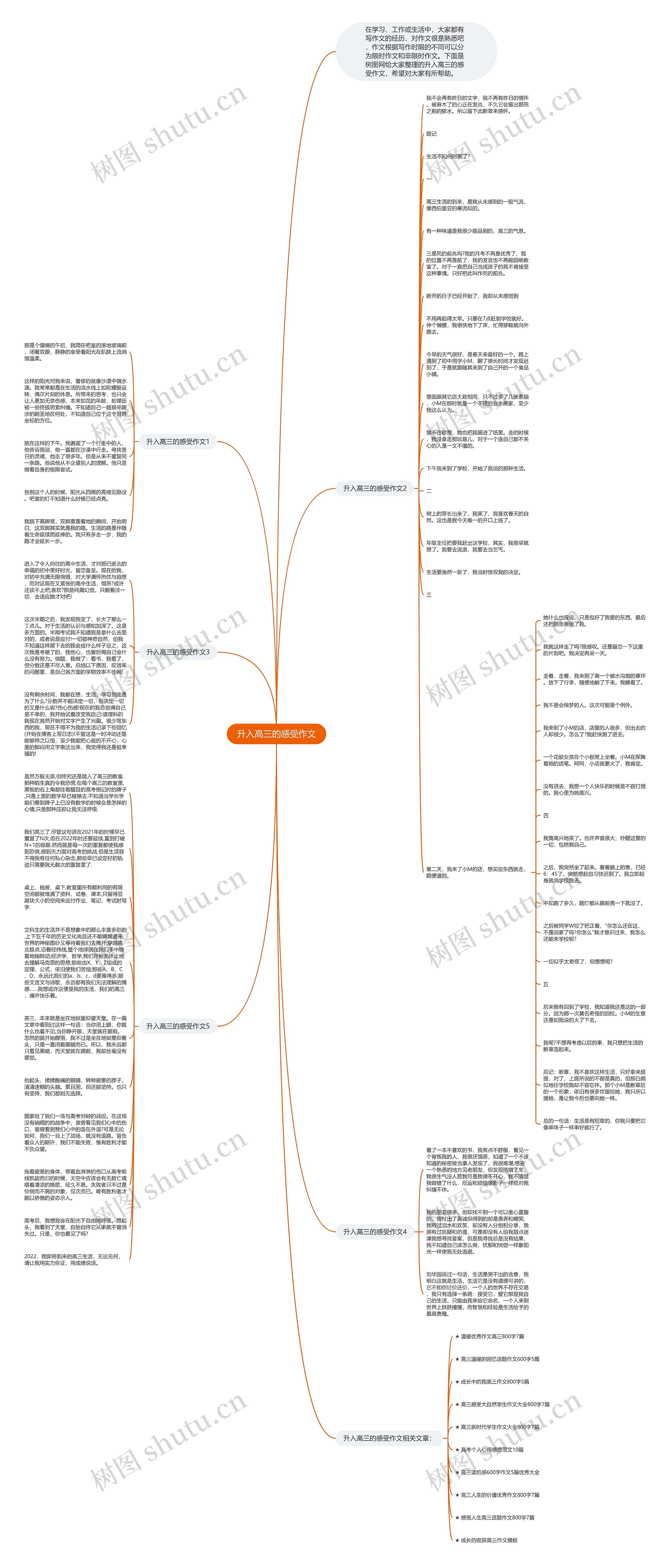 升入高三的感受作文思维导图
