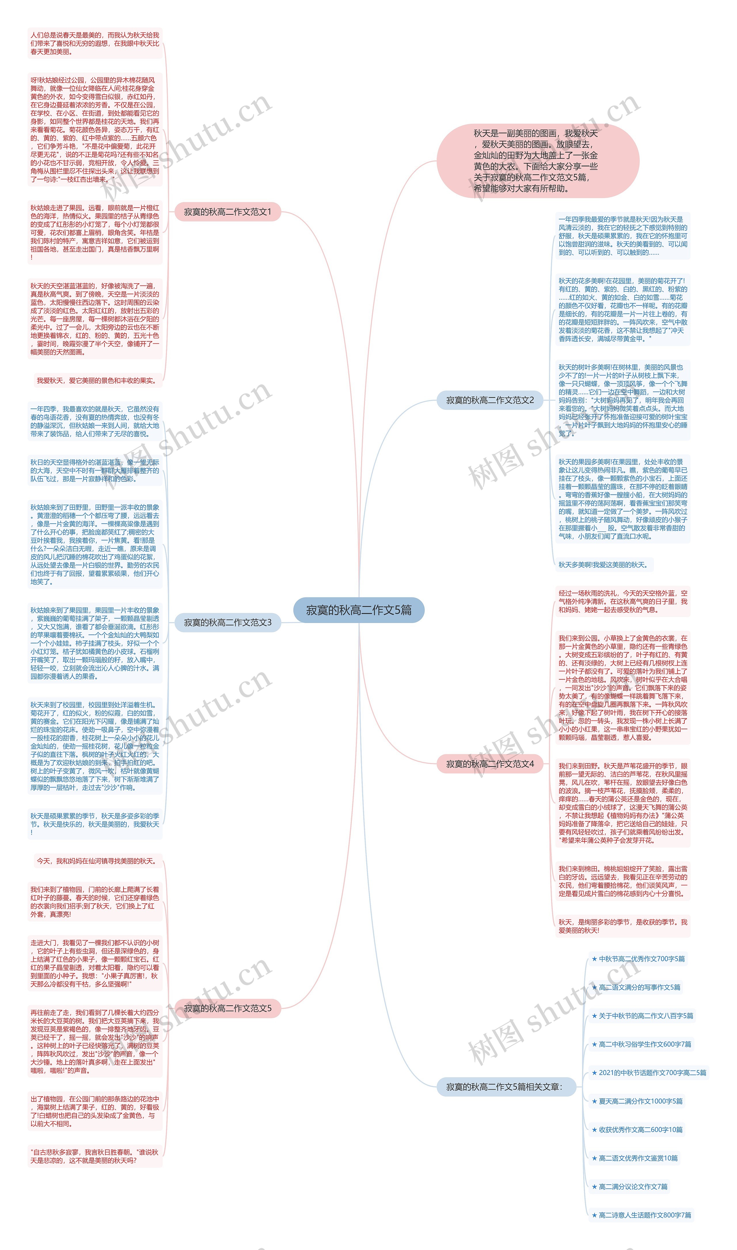 寂寞的秋高二作文5篇思维导图