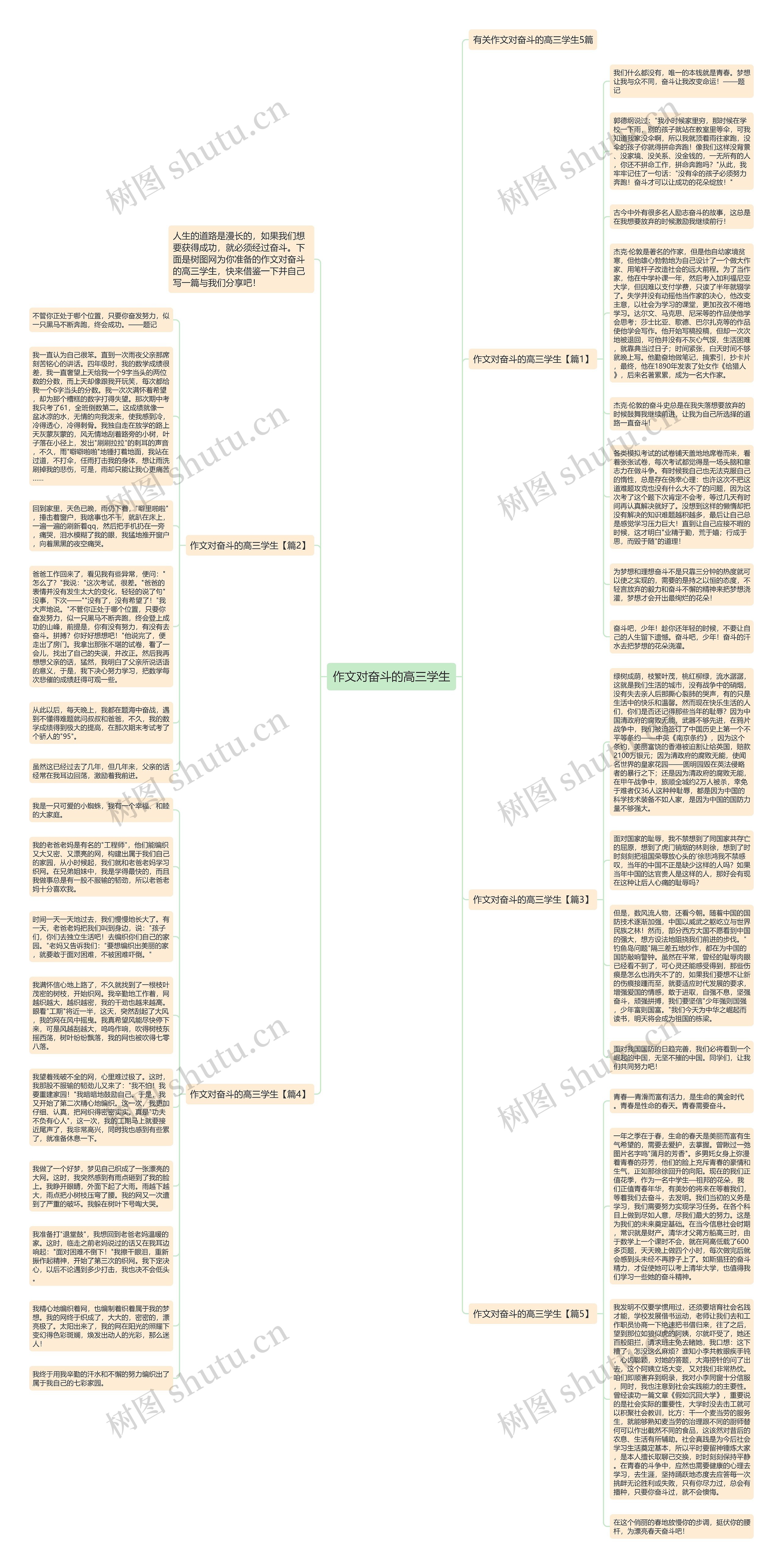作文对奋斗的高三学生思维导图