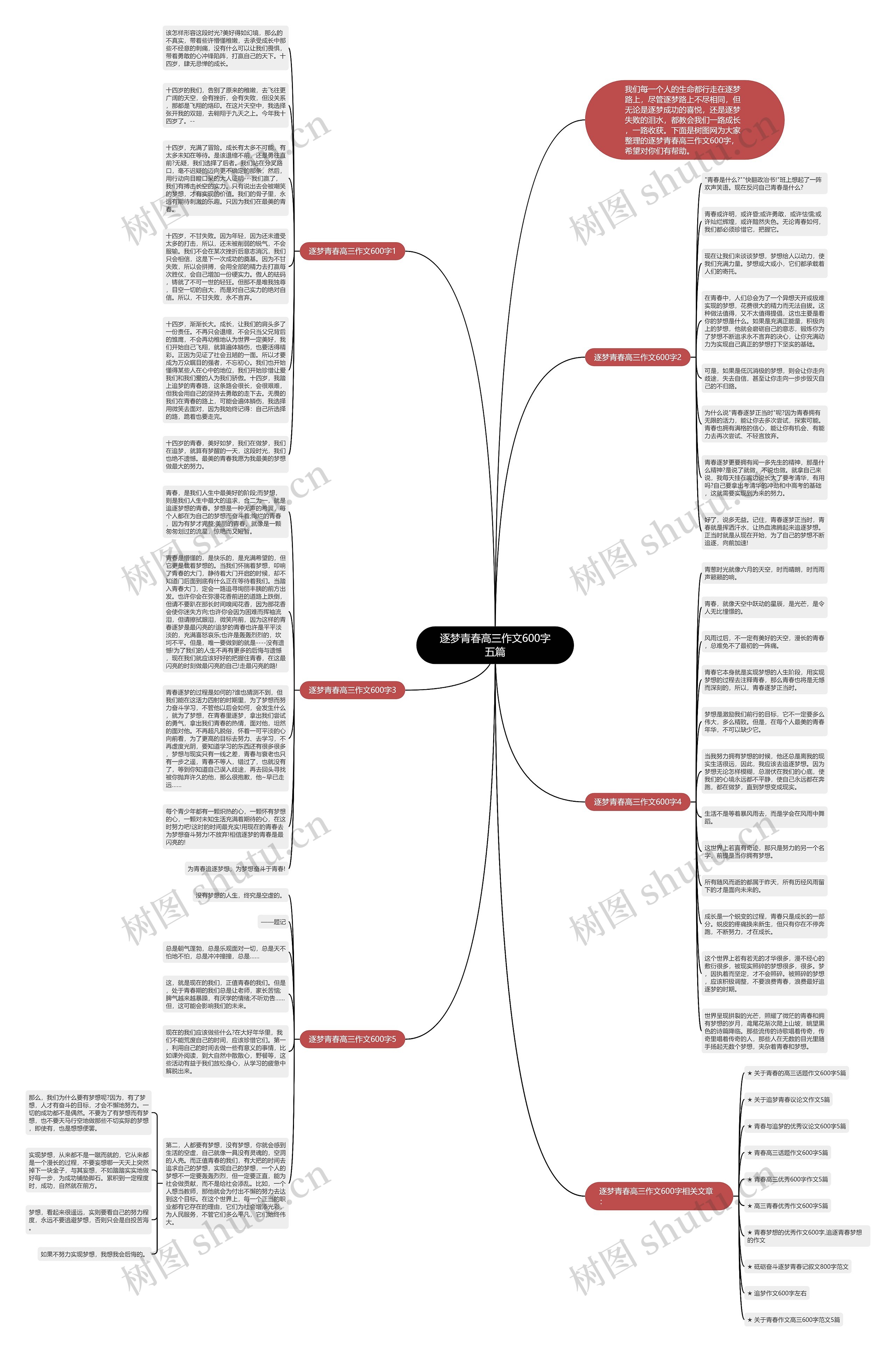逐梦青春高三作文600字五篇思维导图