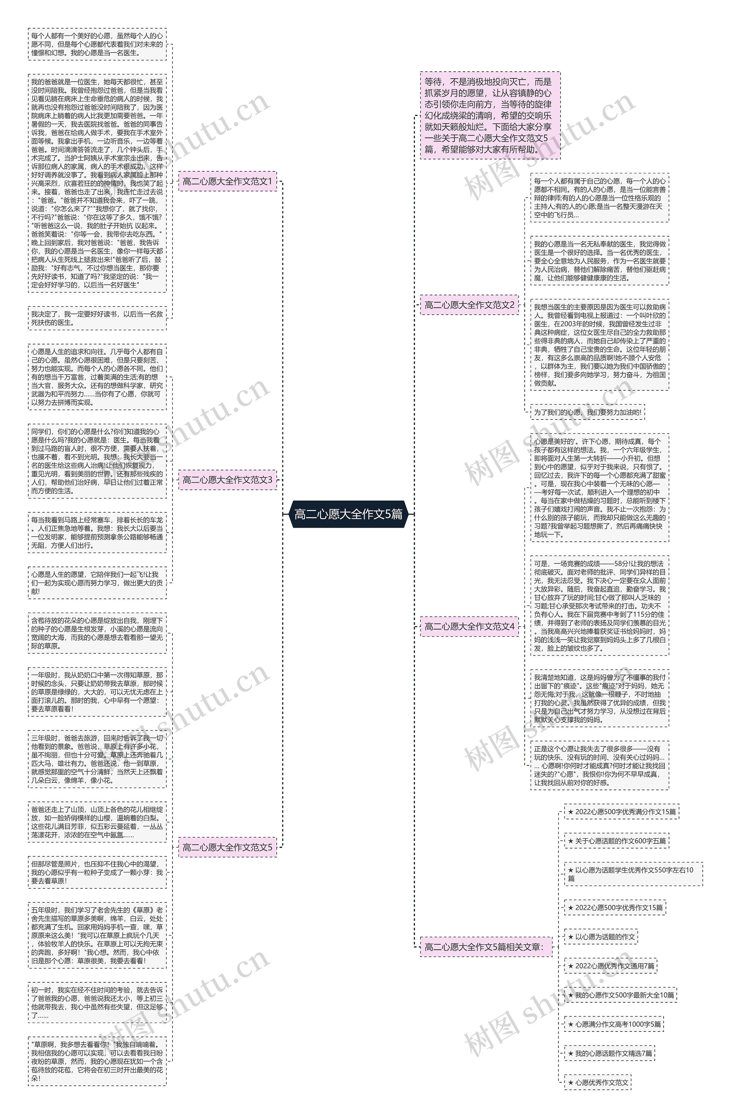 高二心愿大全作文5篇思维导图
