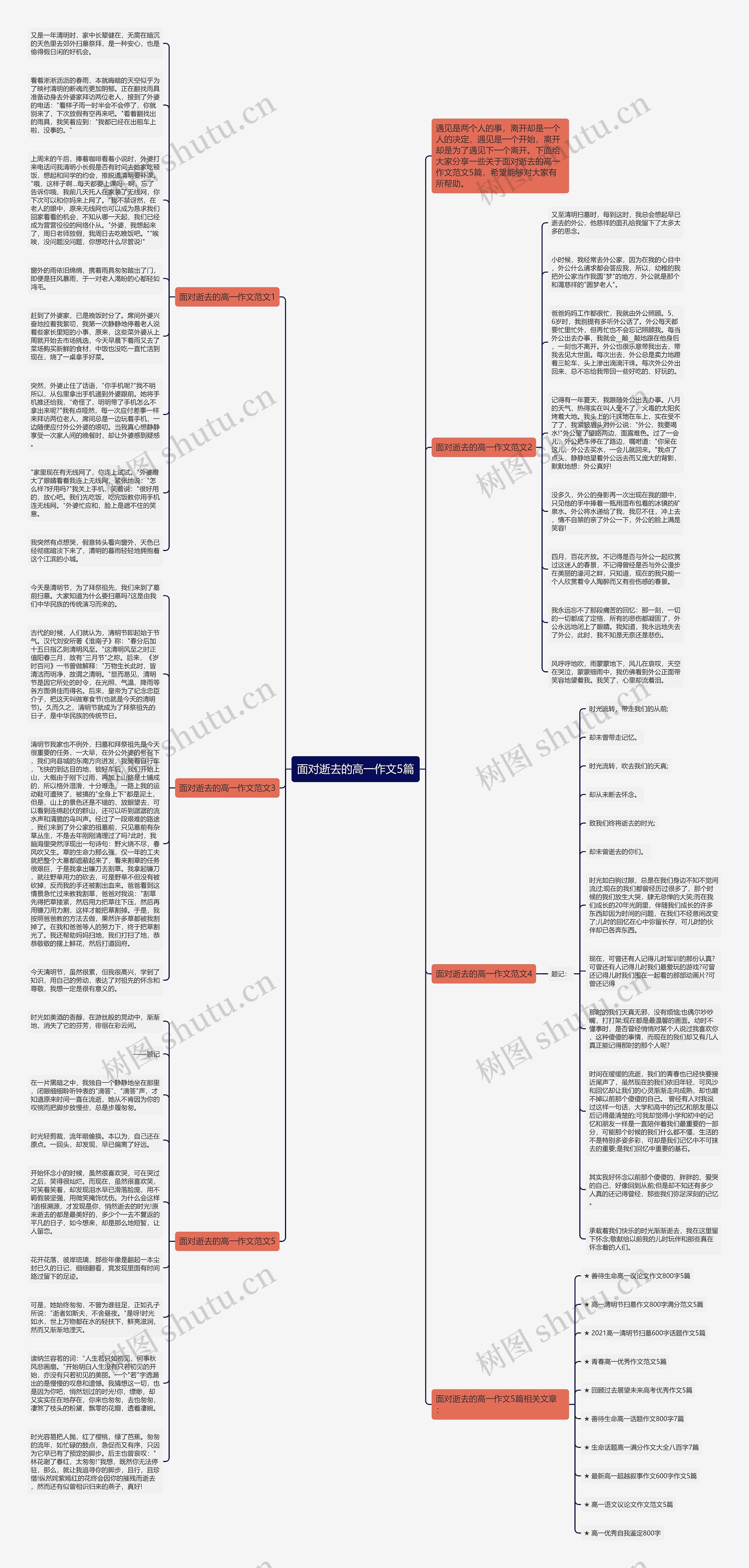 面对逝去的高一作文5篇思维导图
