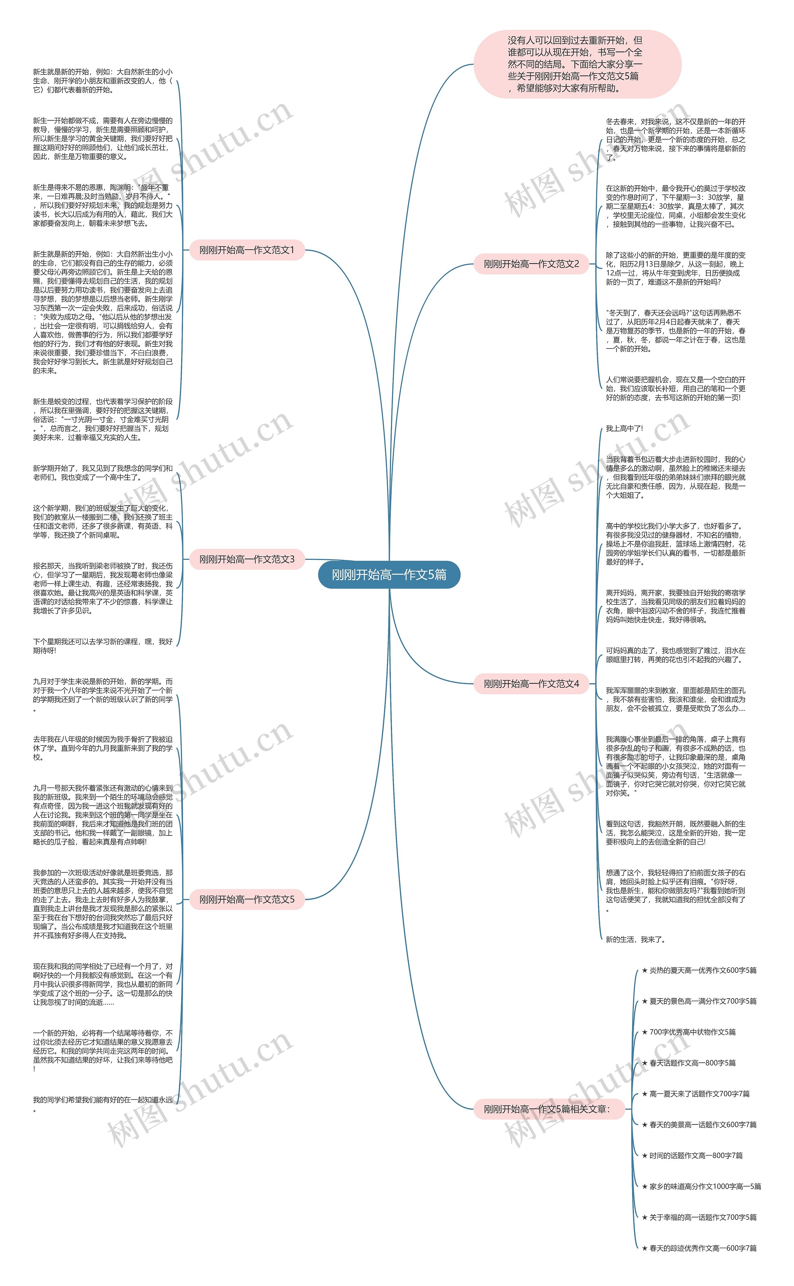 刚刚开始高一作文5篇思维导图