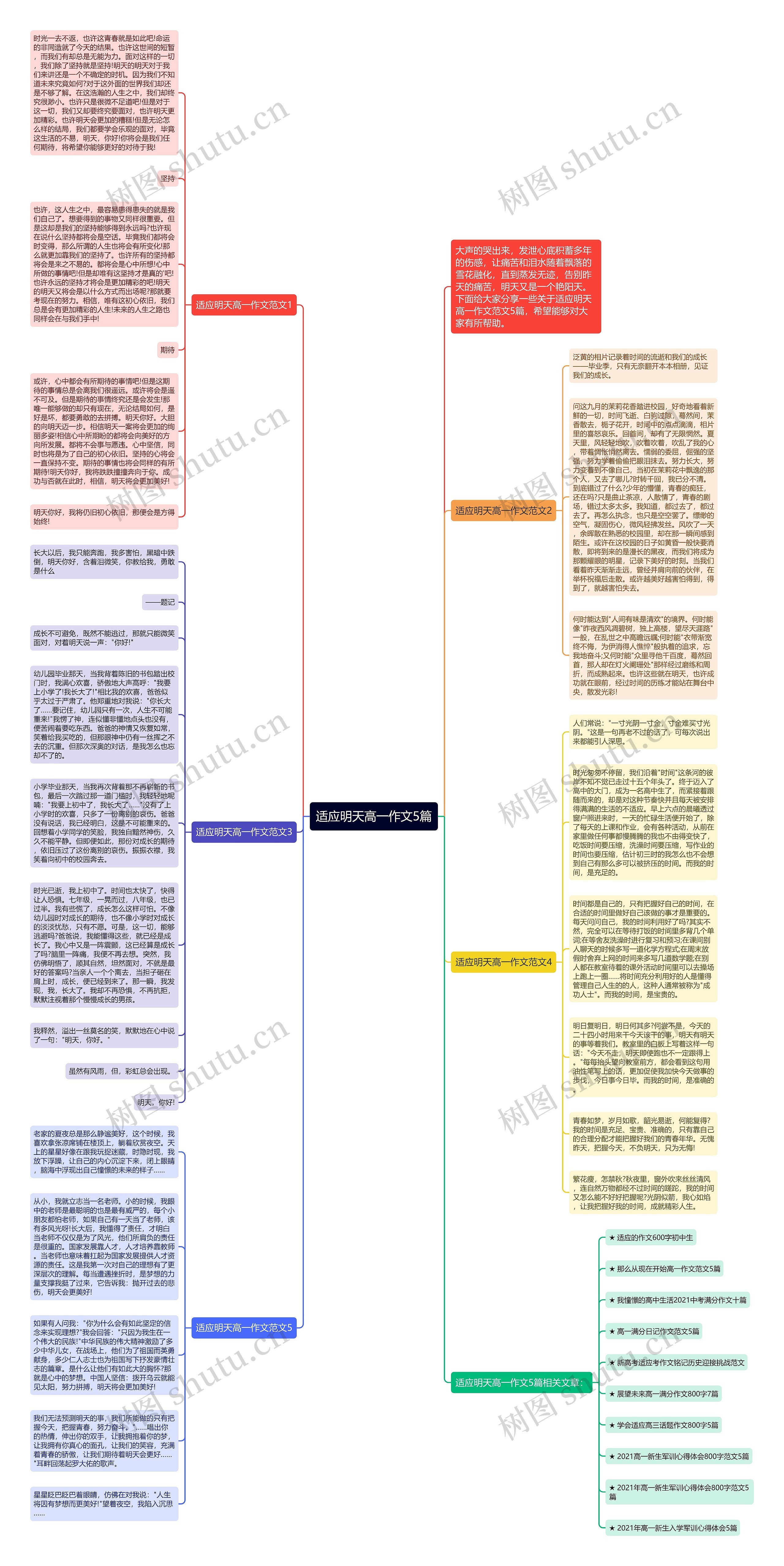 适应明天高一作文5篇思维导图