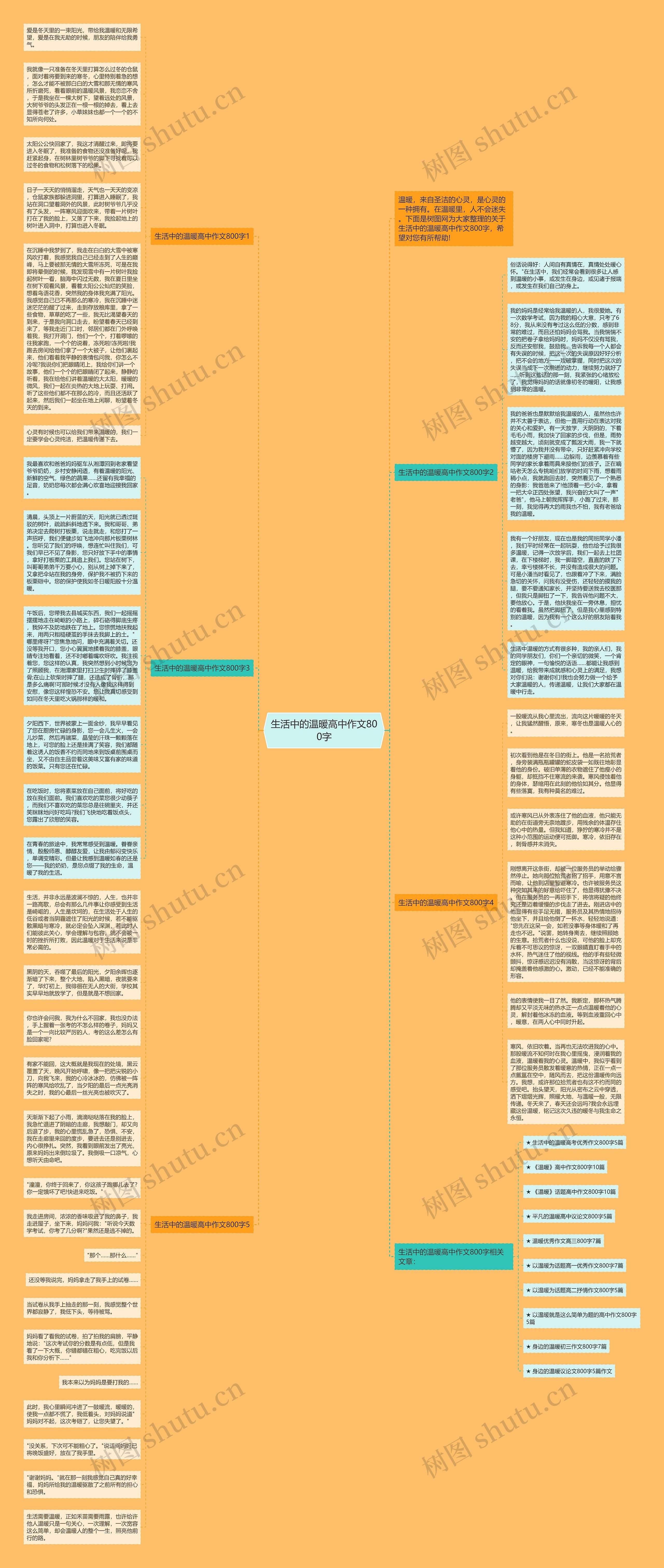 生活中的温暖高中作文800字思维导图
