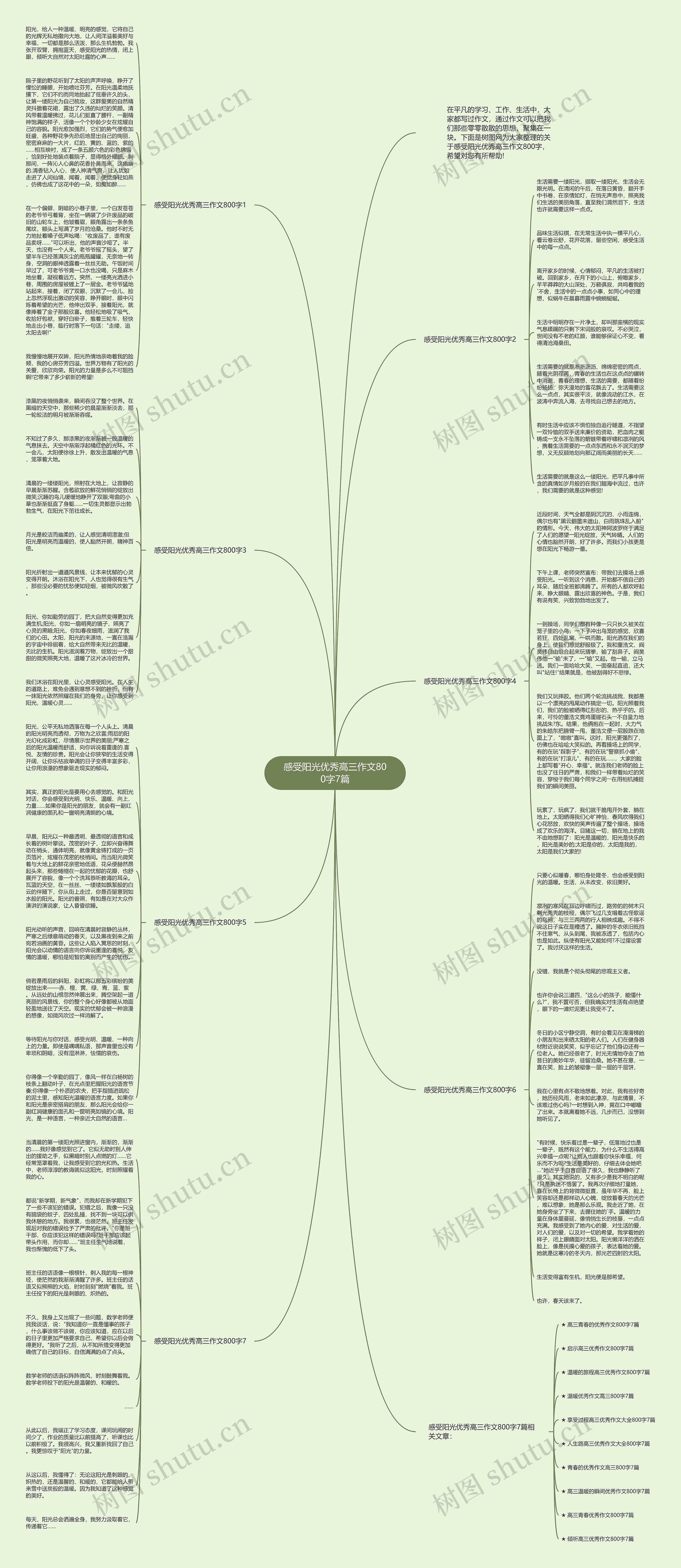 感受阳光优秀高三作文800字7篇思维导图