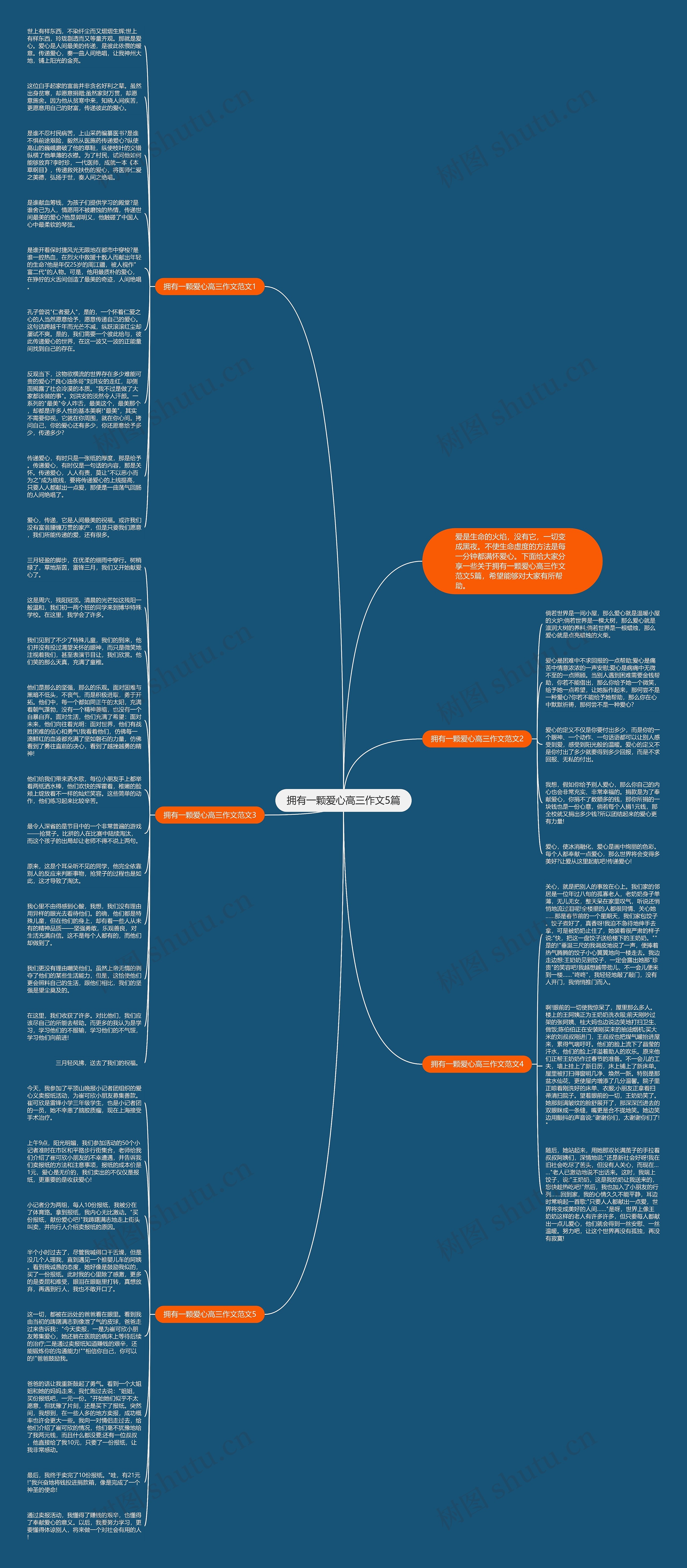 拥有一颗爱心高三作文5篇思维导图