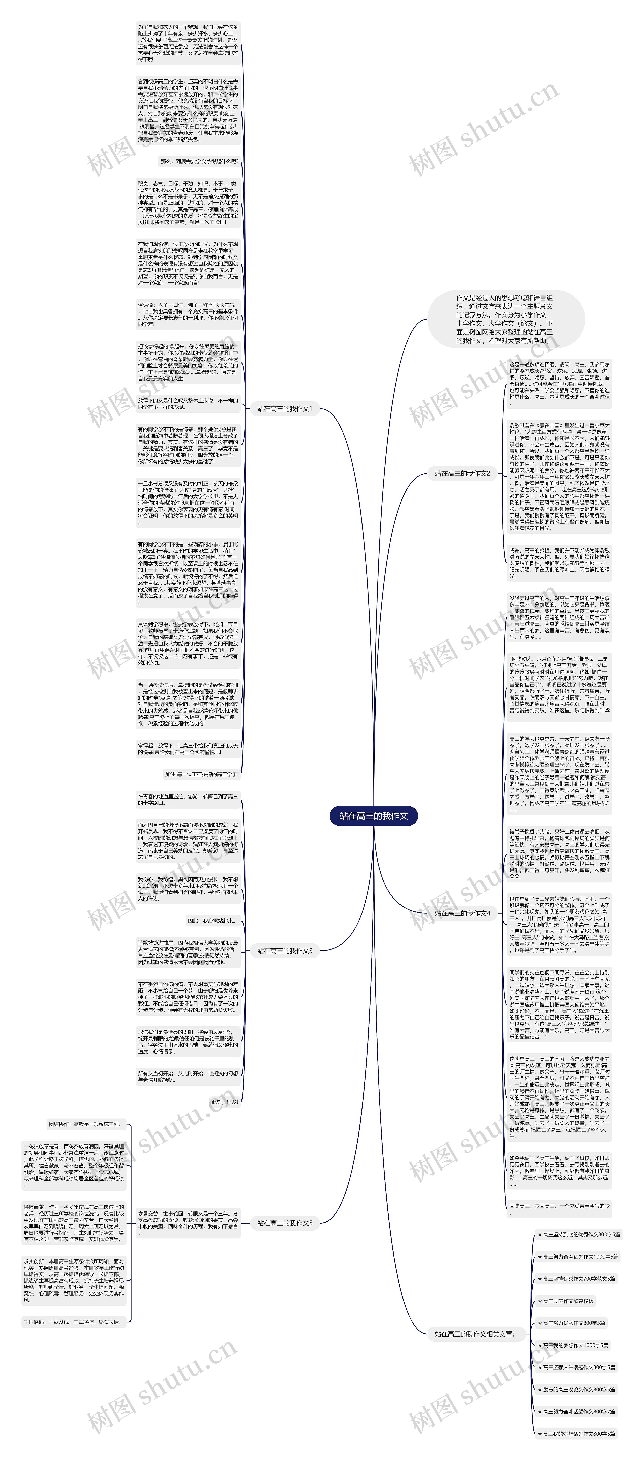 站在高三的我作文思维导图
