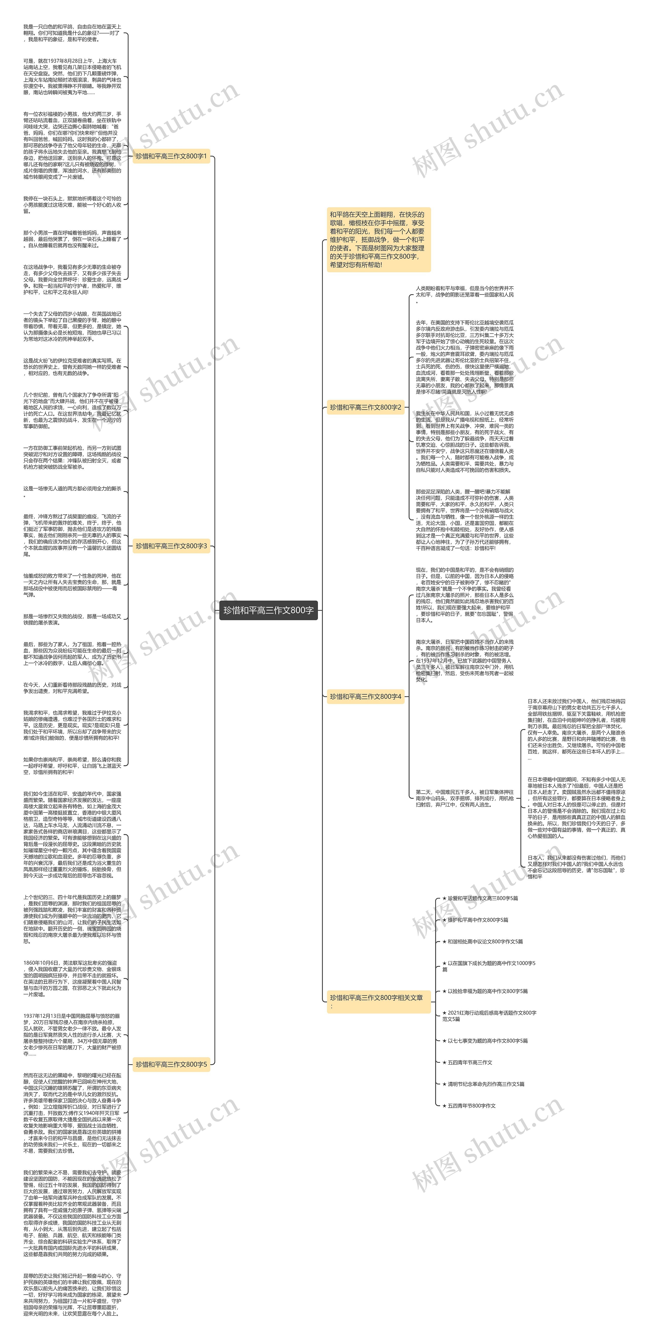 珍惜和平高三作文800字思维导图