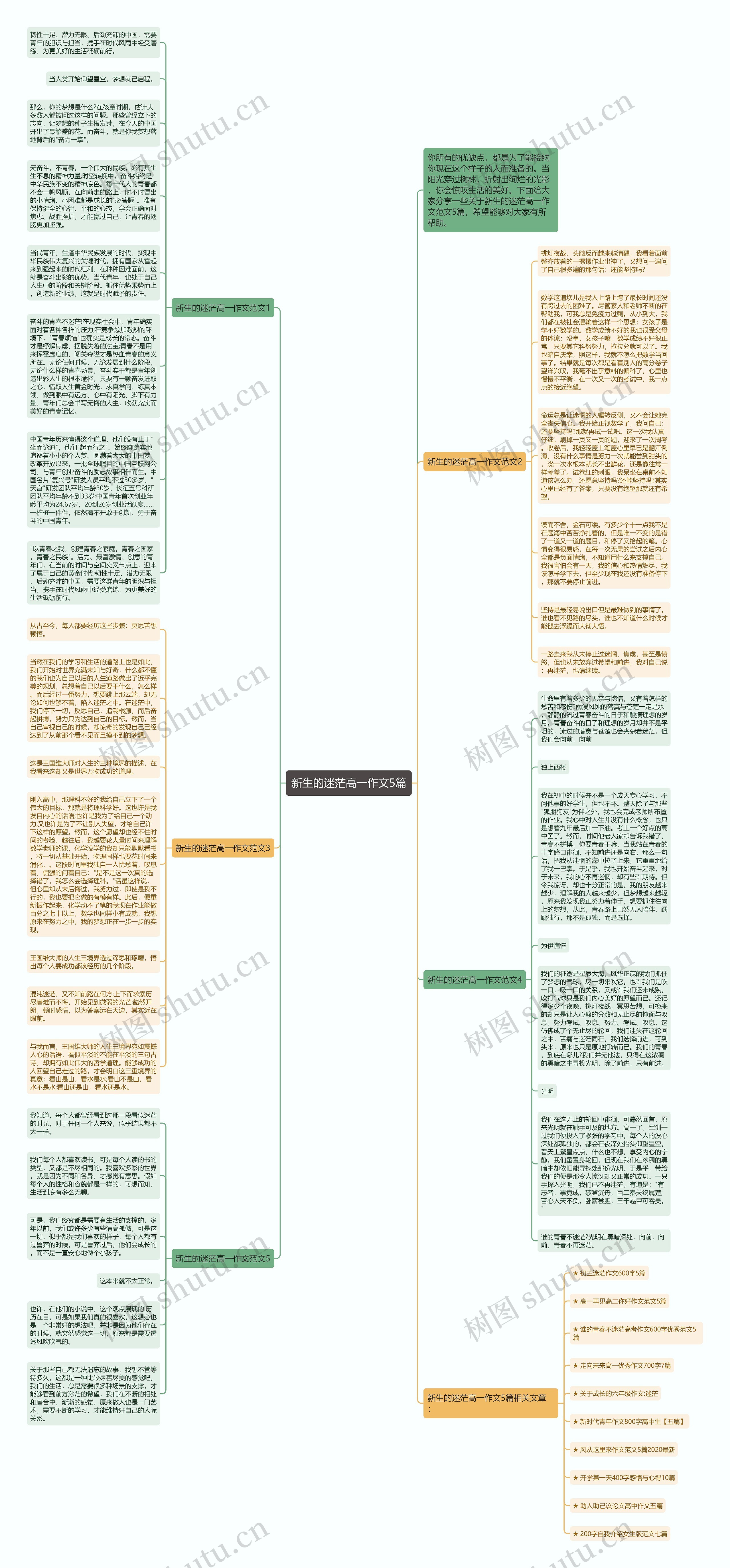 新生的迷茫高一作文5篇思维导图