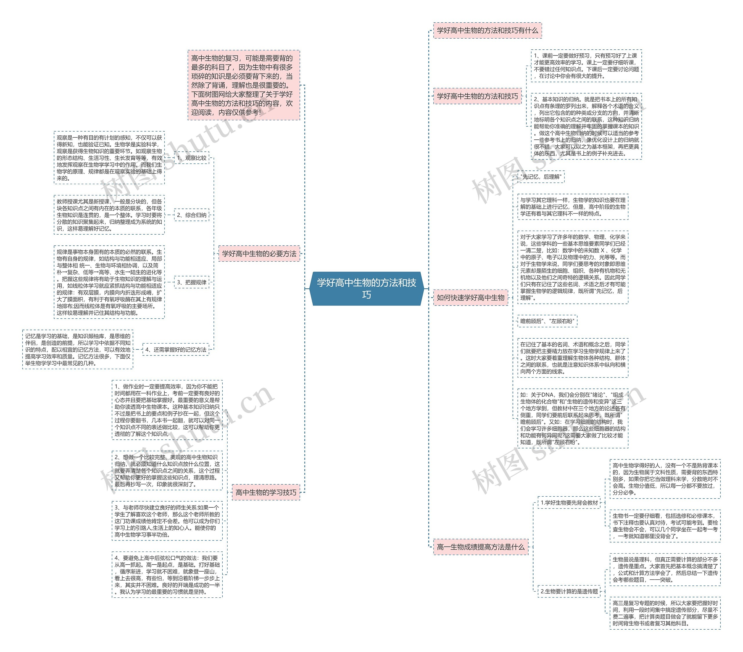学好高中生物的方法和技巧思维导图