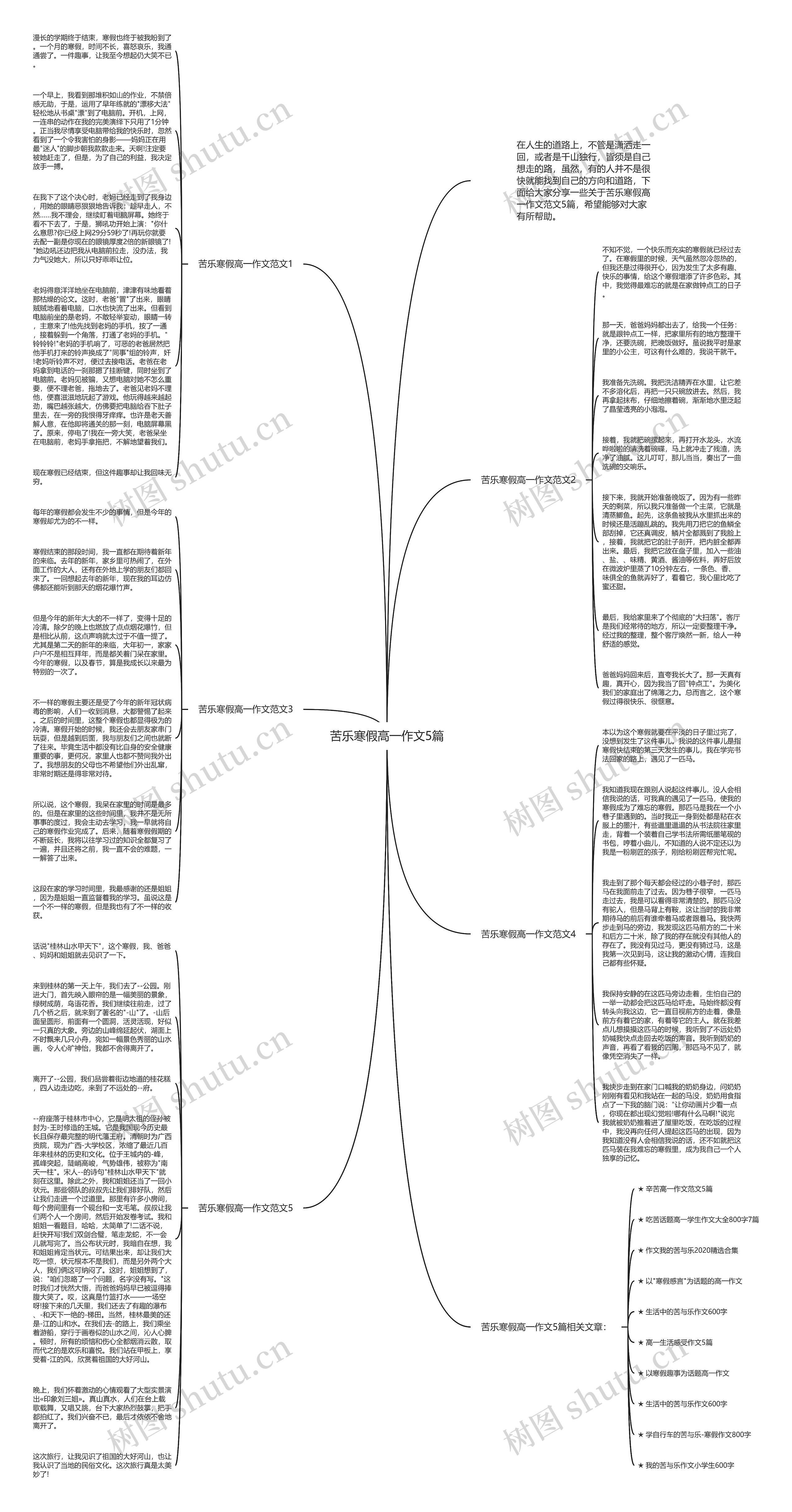苦乐寒假高一作文5篇思维导图