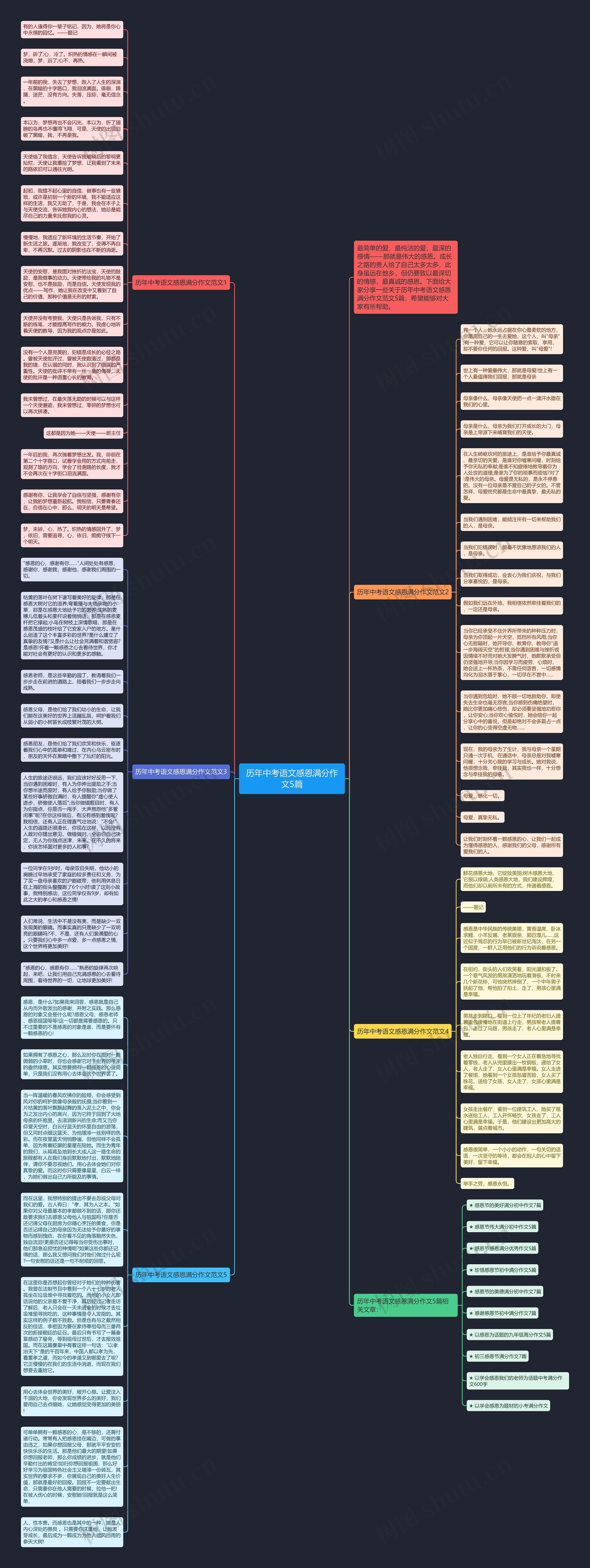 历年中考语文感恩满分作文5篇思维导图
