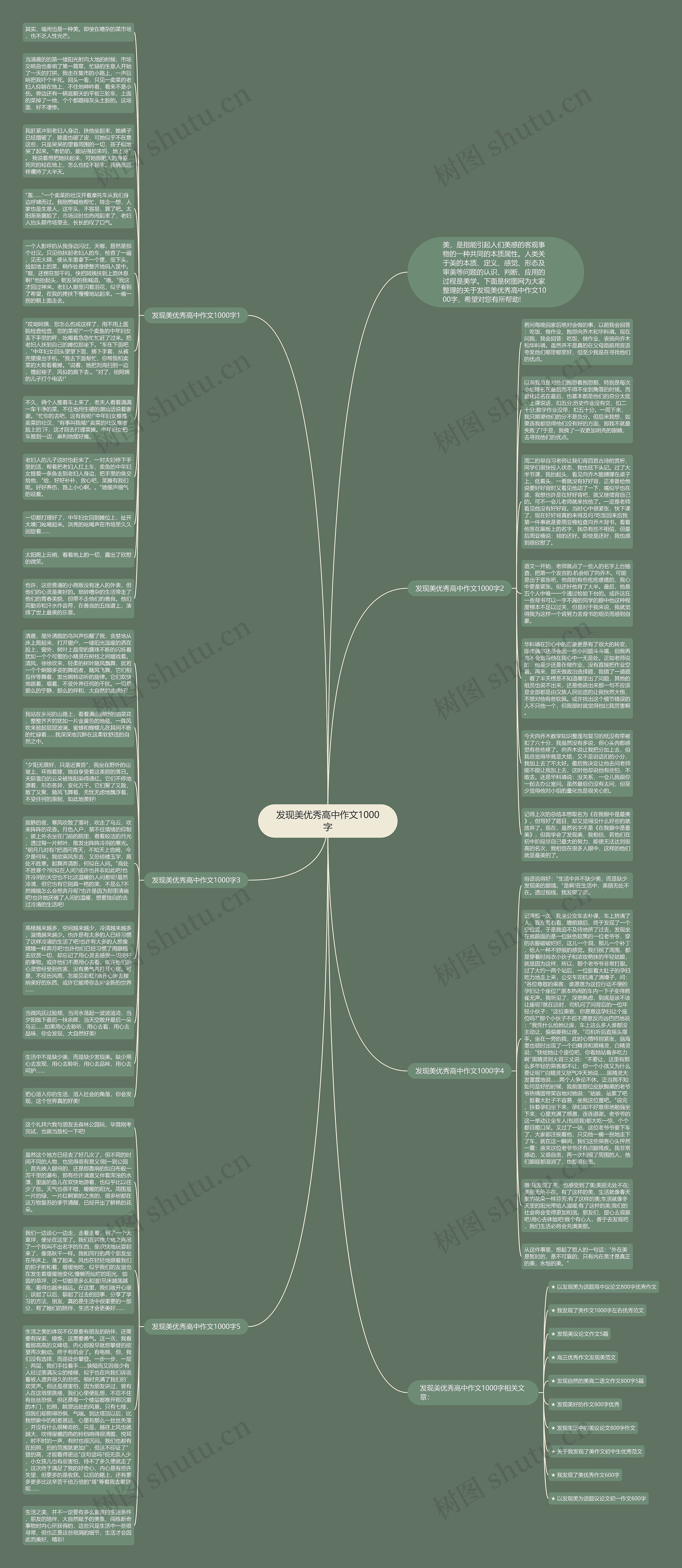 发现美优秀高中作文1000字思维导图