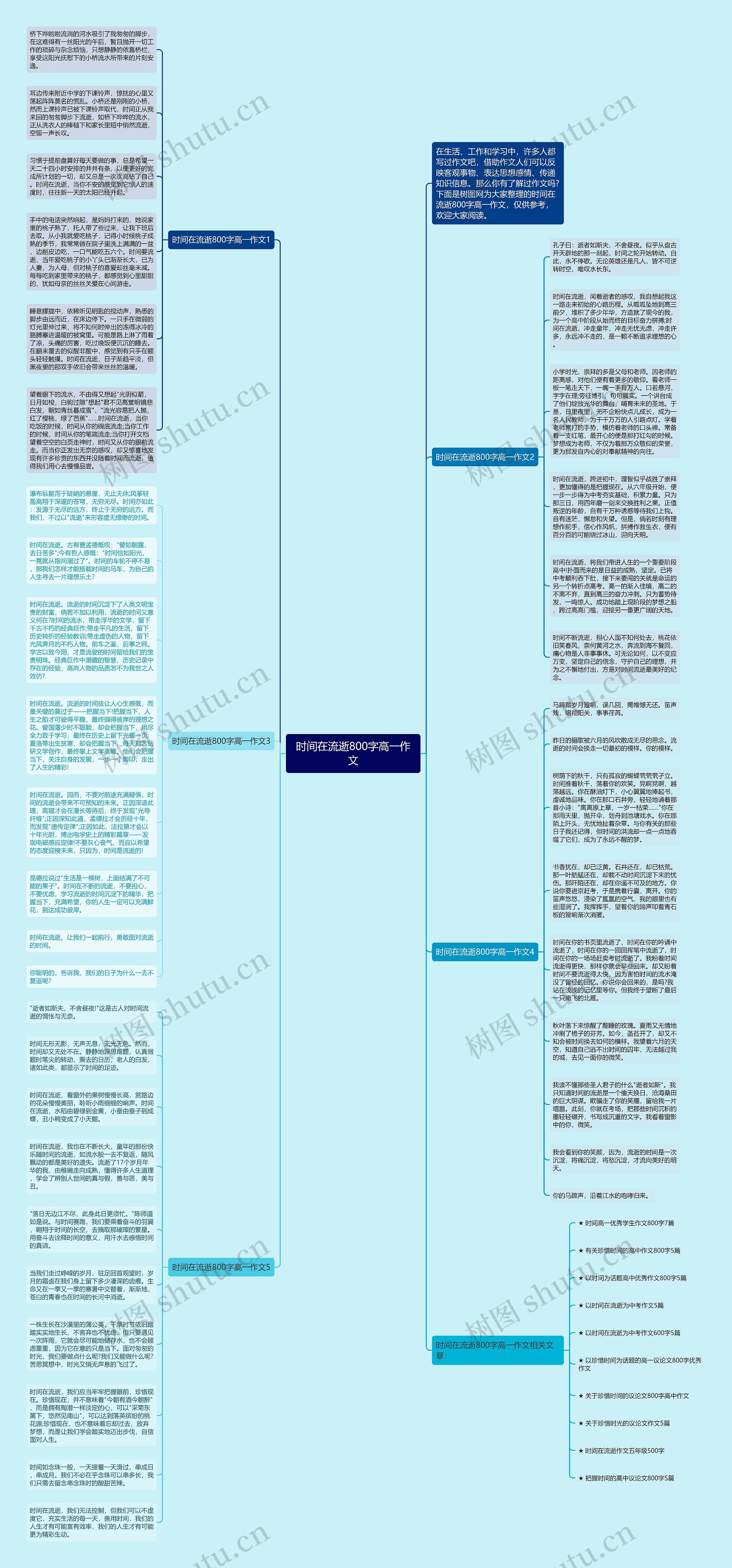 时间在流逝800字高一作文思维导图
