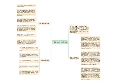 巴西公布世界杯名单