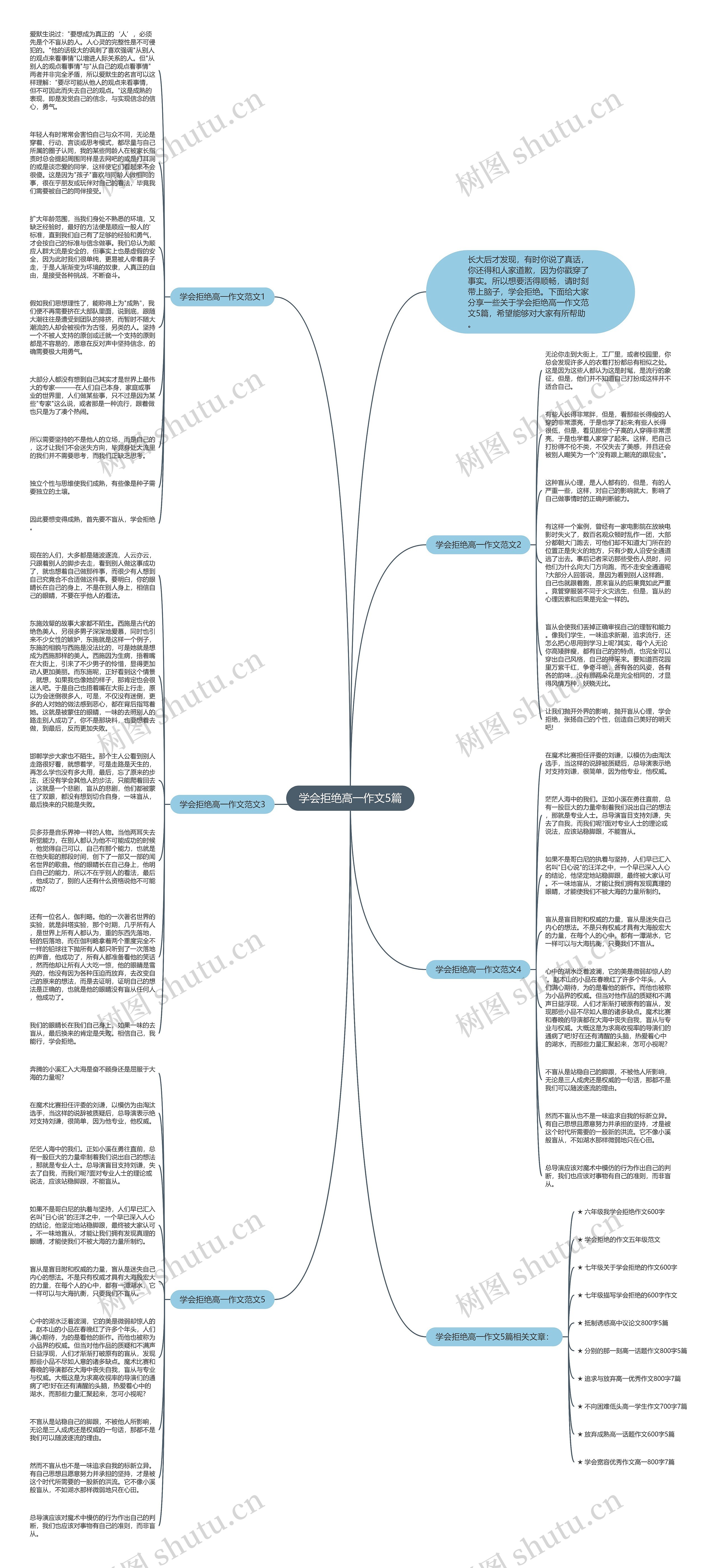 学会拒绝高一作文5篇思维导图