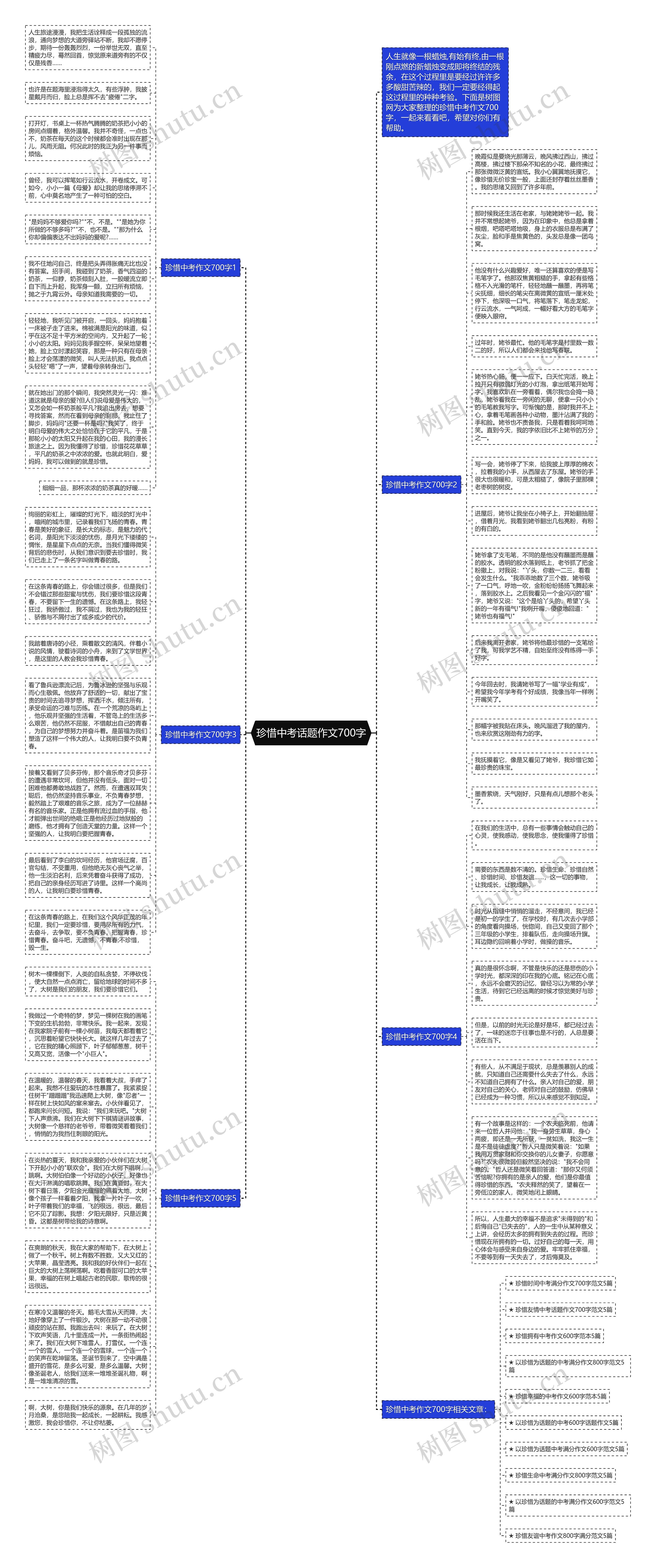 珍惜中考话题作文700字思维导图