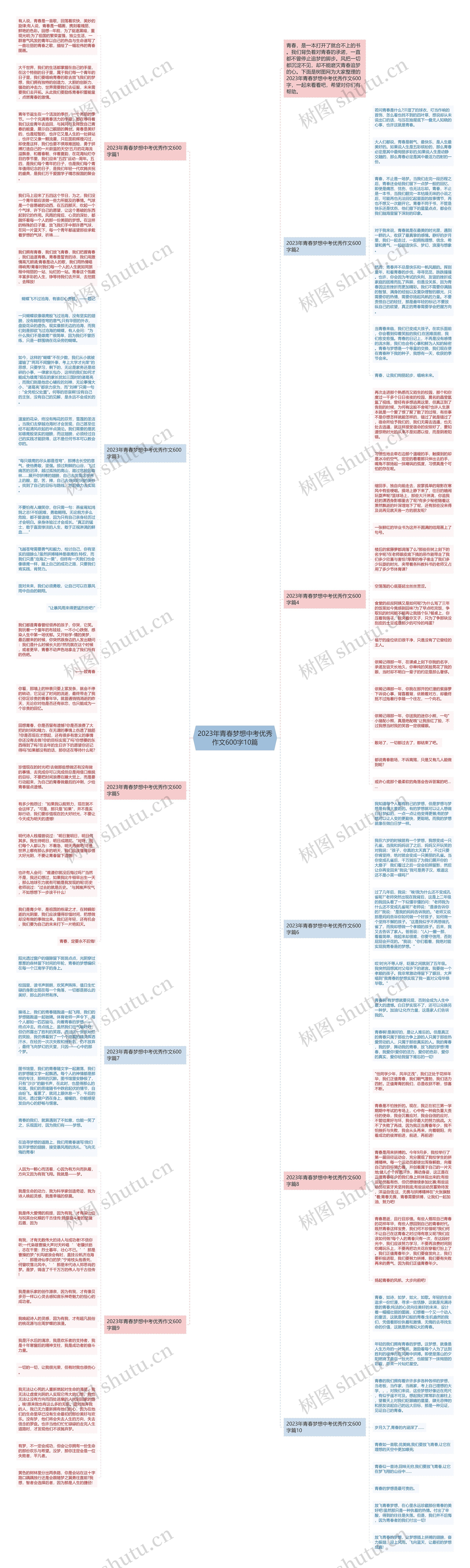 2023年青春梦想中考优秀作文600字10篇思维导图
