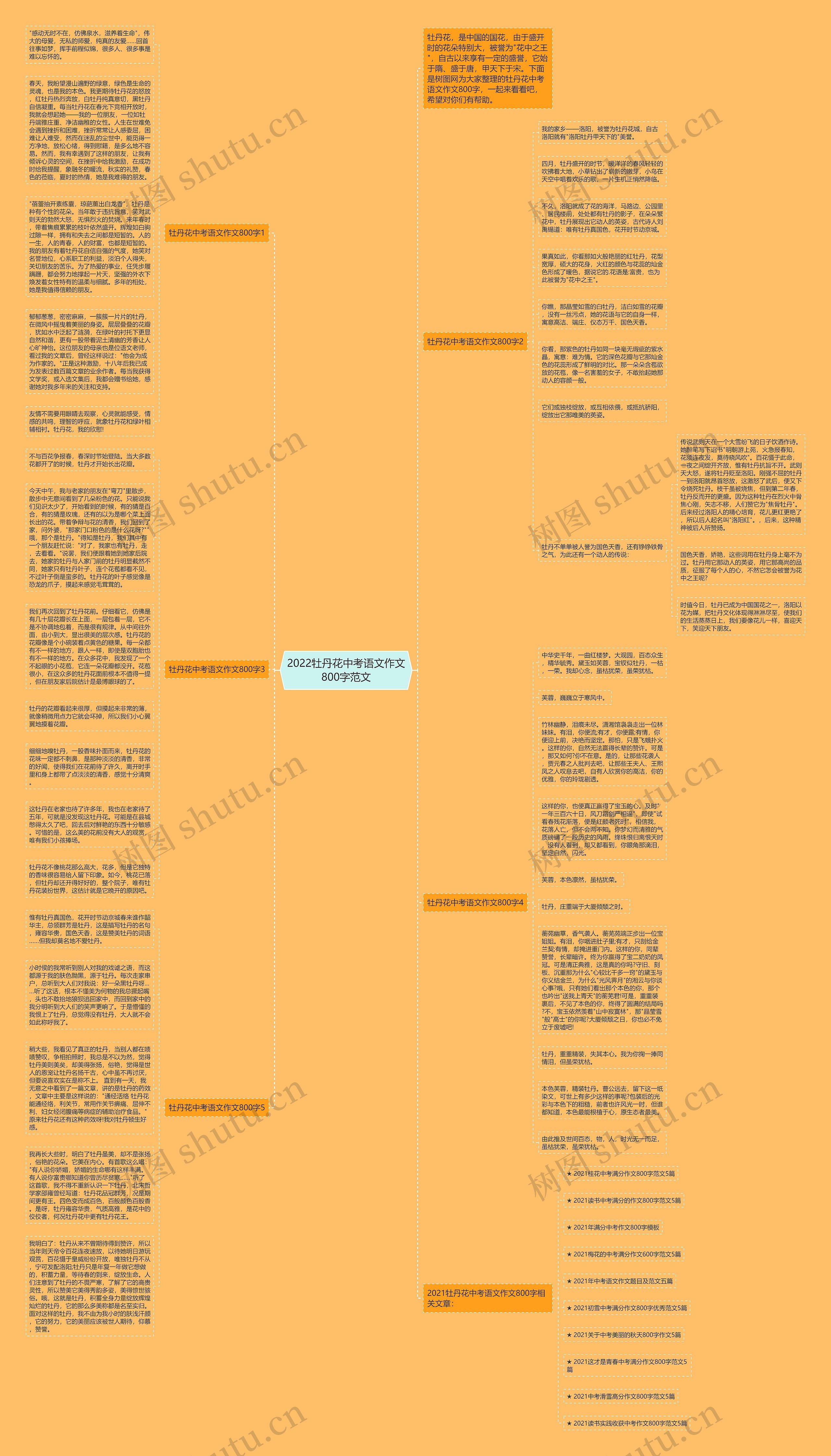 2022牡丹花中考语文作文800字范文思维导图