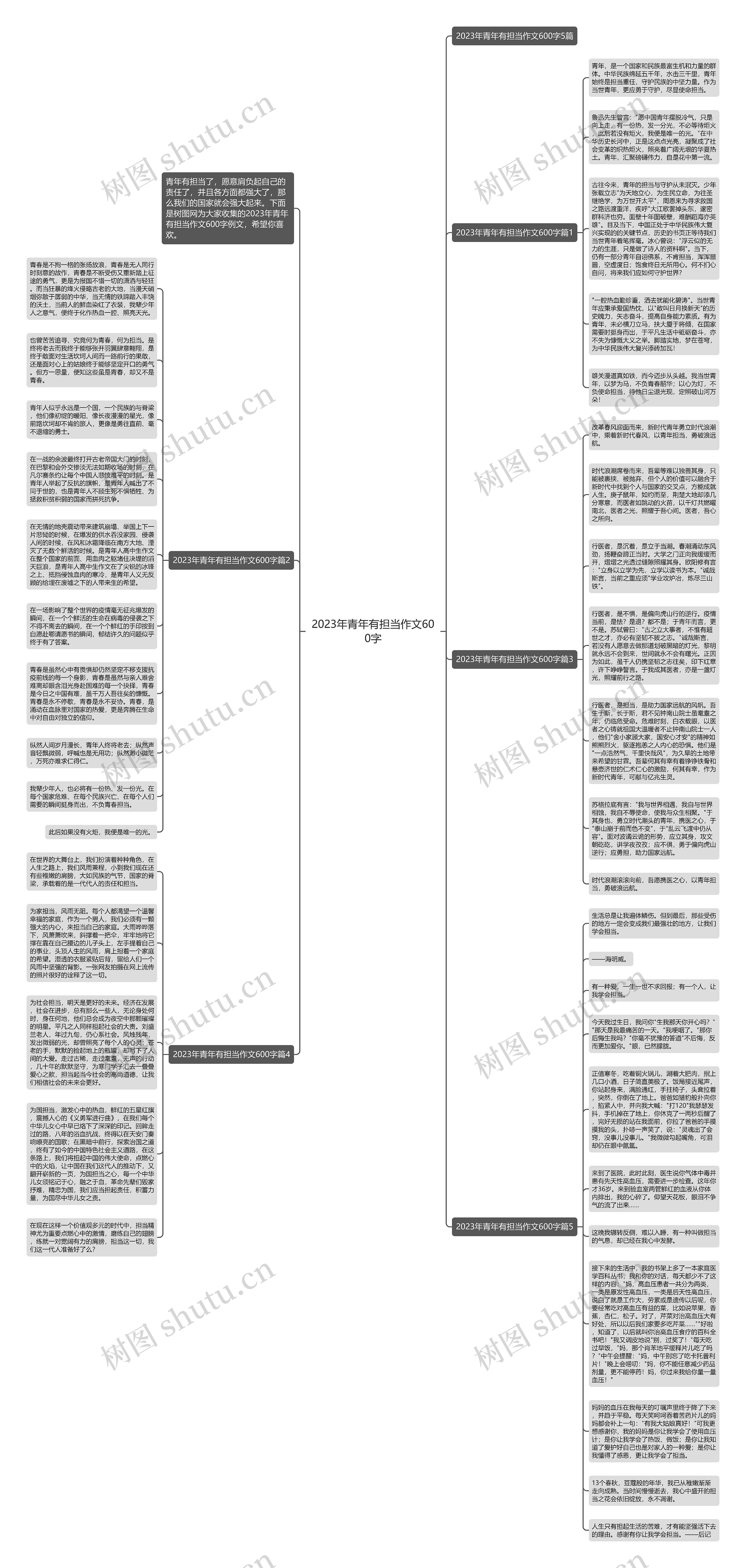 2023年青年有担当作文600字思维导图