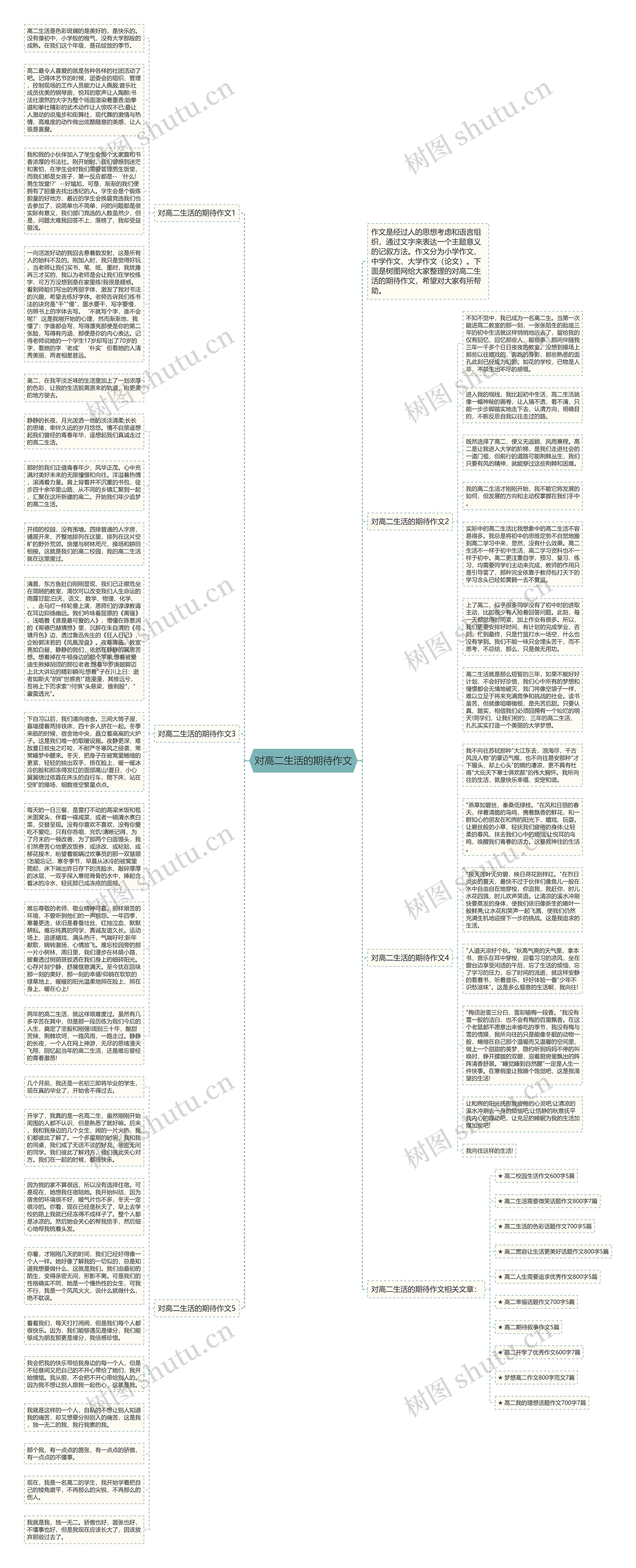 对高二生活的期待作文思维导图